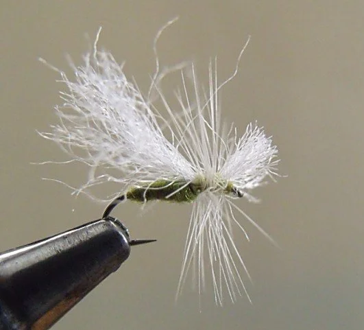 Close-up of a white woolly dun fly fishing lure with synthetic fibers, mounted on a hook.