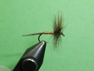 Close-up of a fishing fly tied to a hook against a green background.