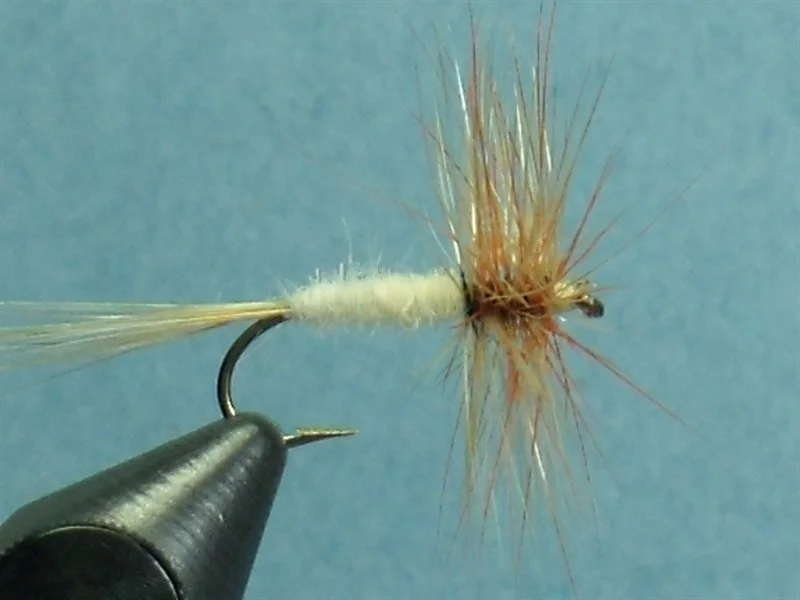 Close-up of a fishing fly with a hook, white body, and brown and orange feathered wings, against a blue background.