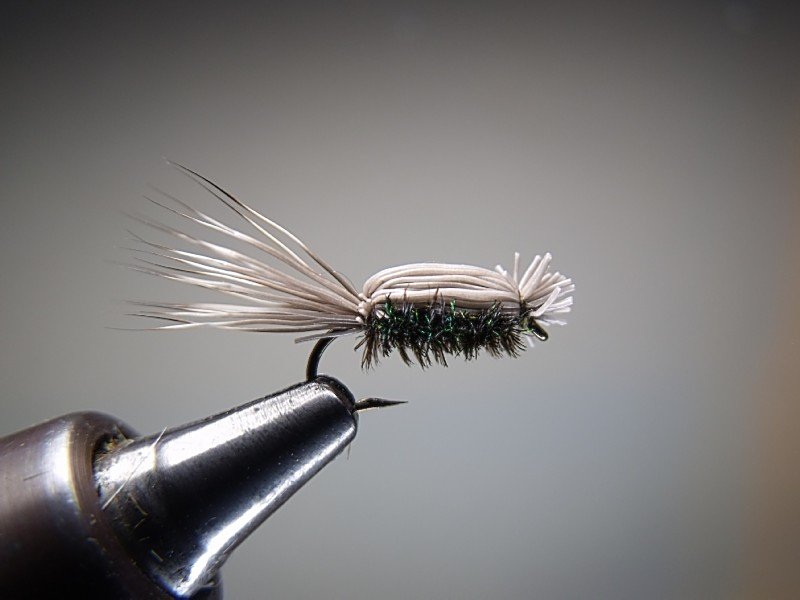 Close-up of a fishing fly with white and black feathers, attached to a metal hook, held by a fly-tying vice.