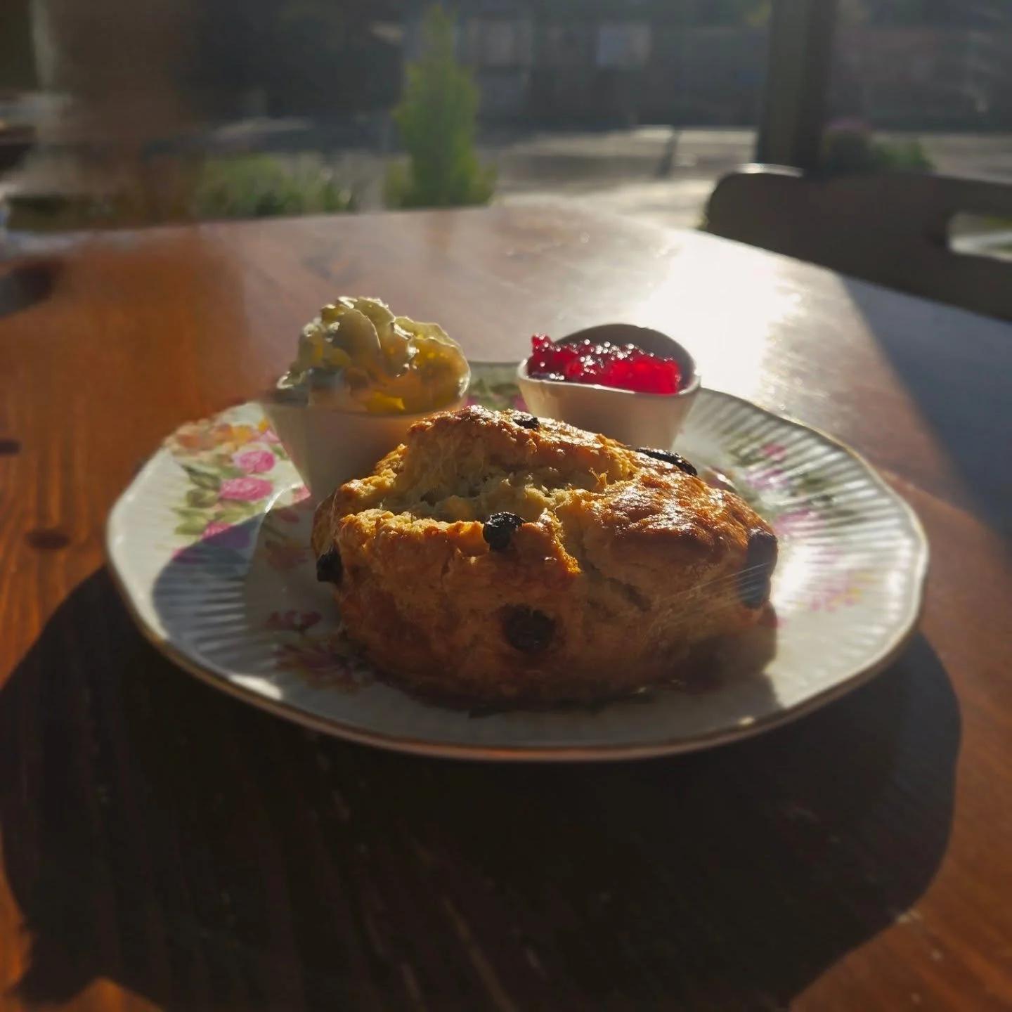 best scones in the game❗️

made fresh every morning for you x

📍walmer bridge