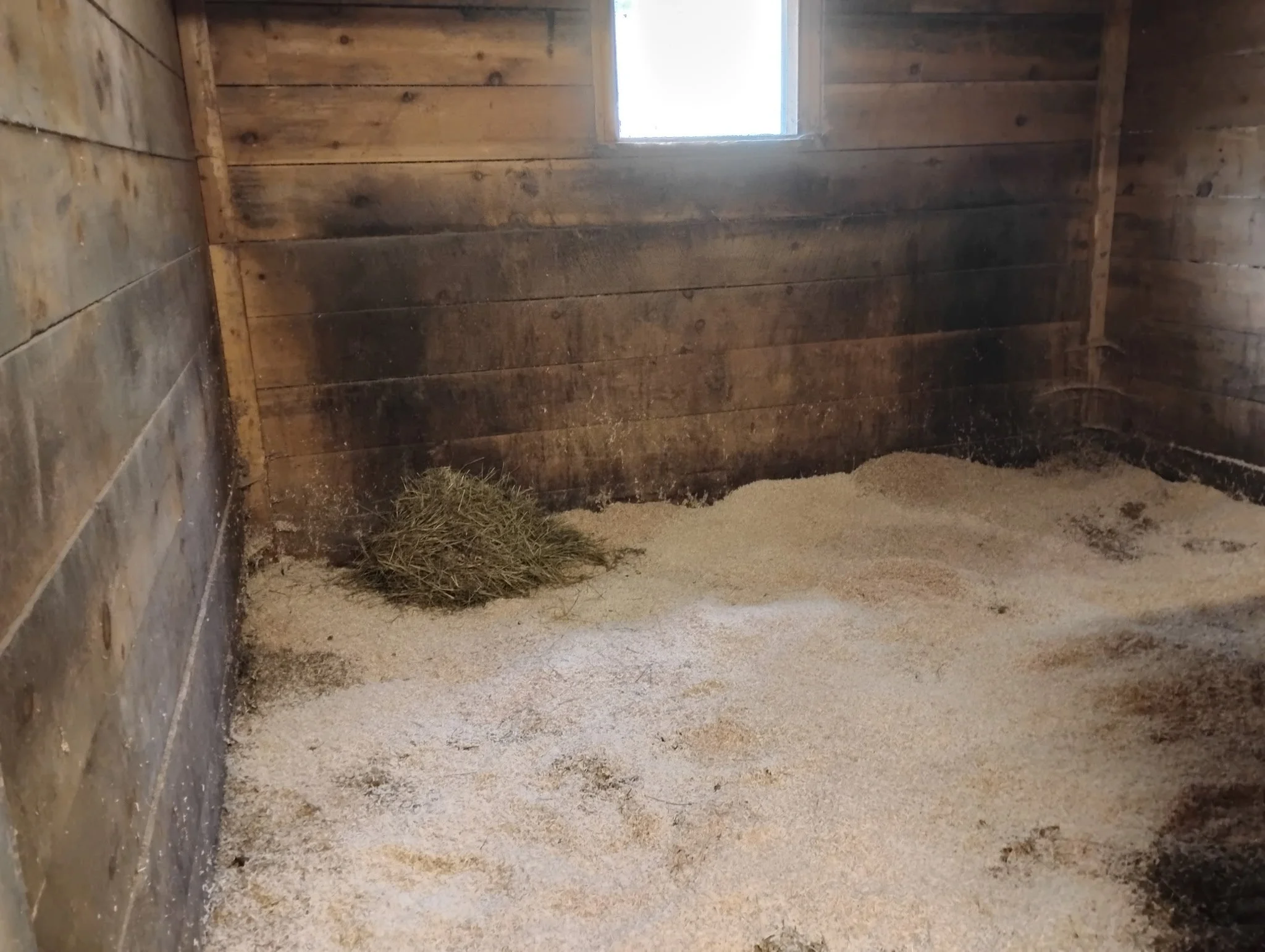 Inside Stall