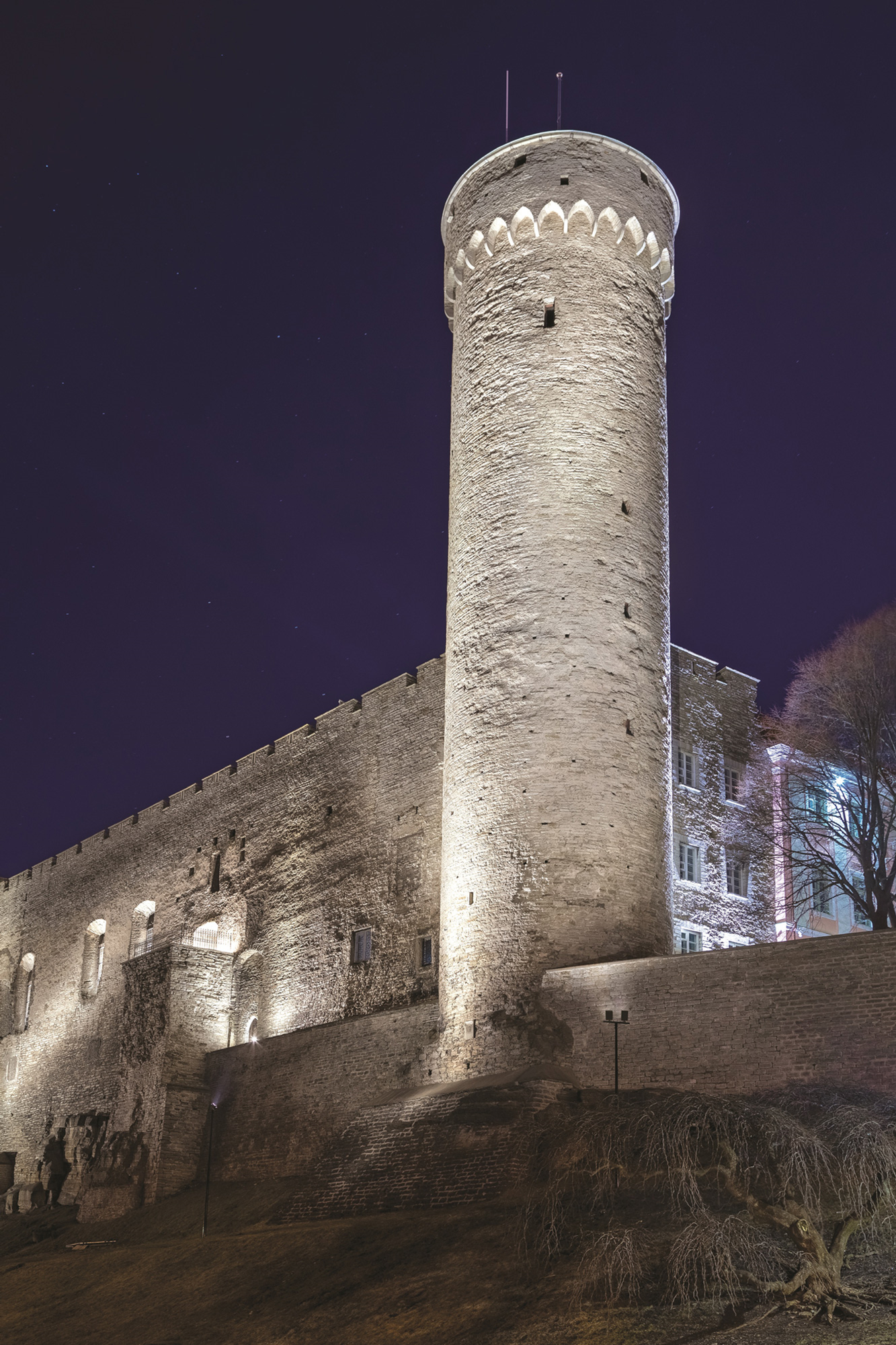 PLATEA multiple en postel-IGU03.png