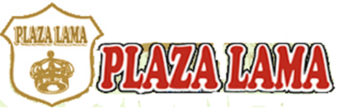 PLAZA LAMA.png