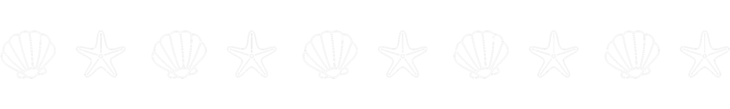 Line of illuminated seashells and starfish.