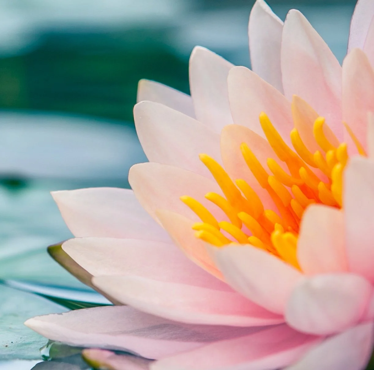 What is grief yoga?