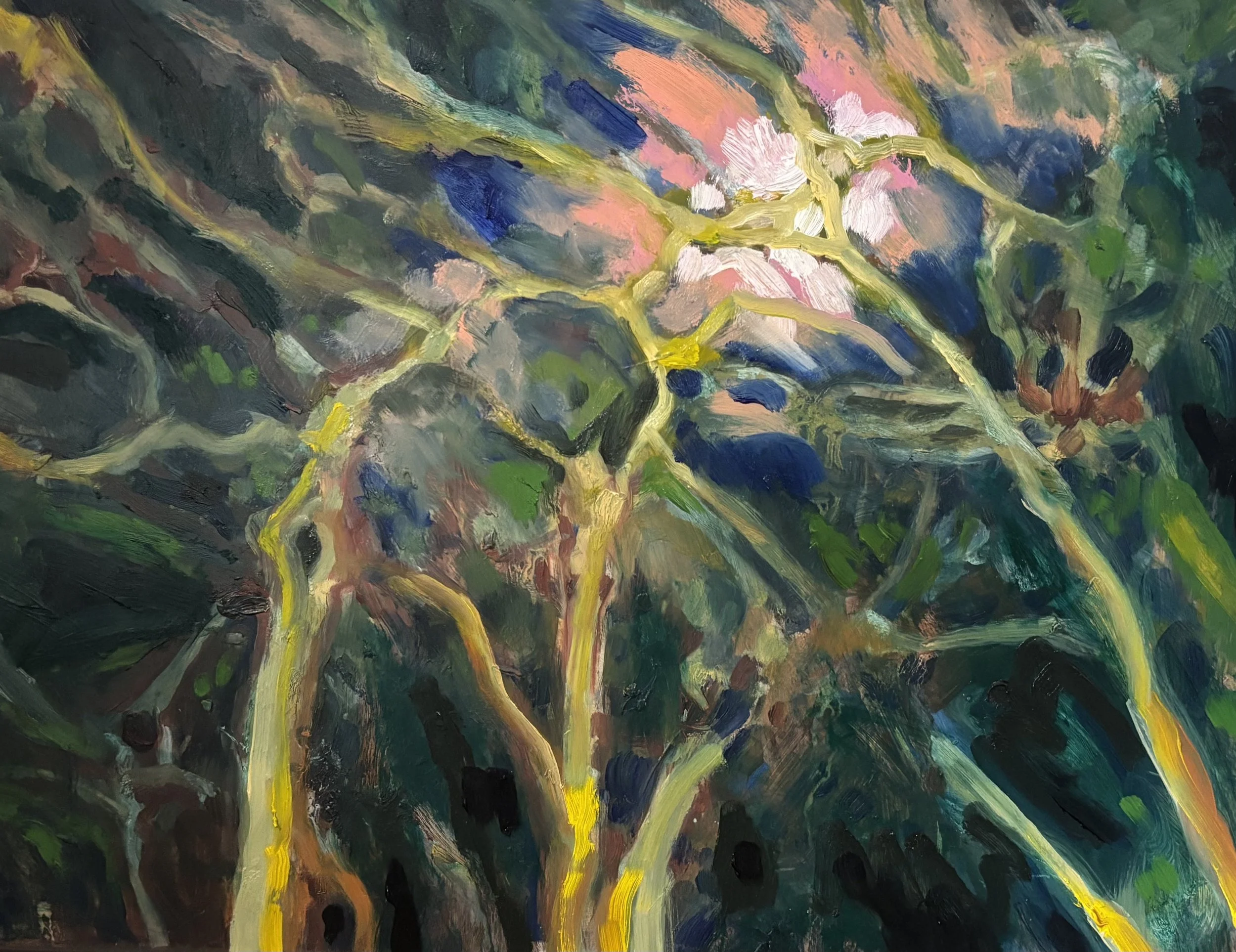 Title: Pink moon | Medium: Oil on panel | Dimension: 12 x 16 inches | Year: 2026
