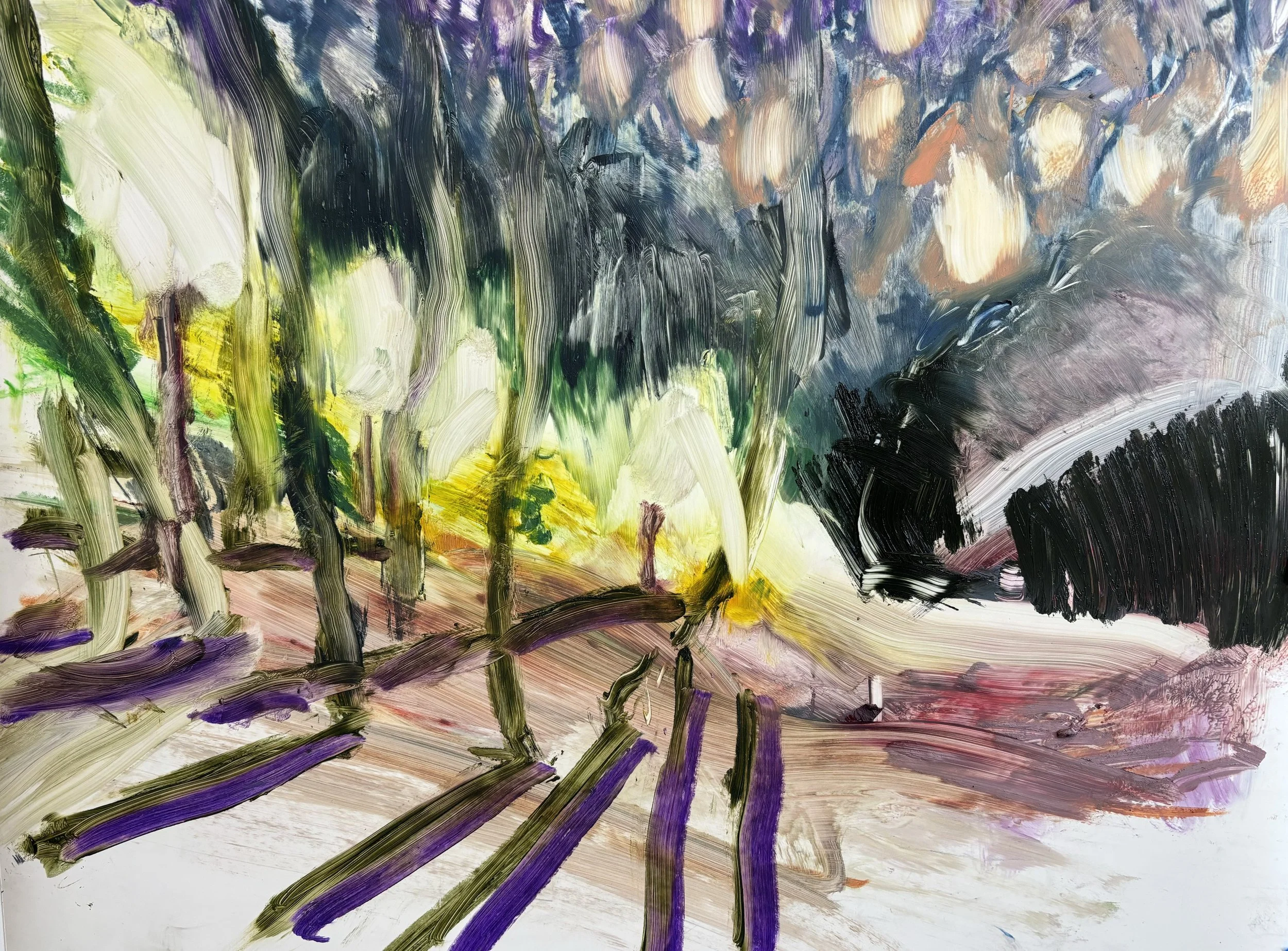 Title: Something I once dreamt: Imagined landscapes #1 |
Medium: Oil pastel on yup mounted to panel |
Size: 12 x 18 inches |
Year: 2023