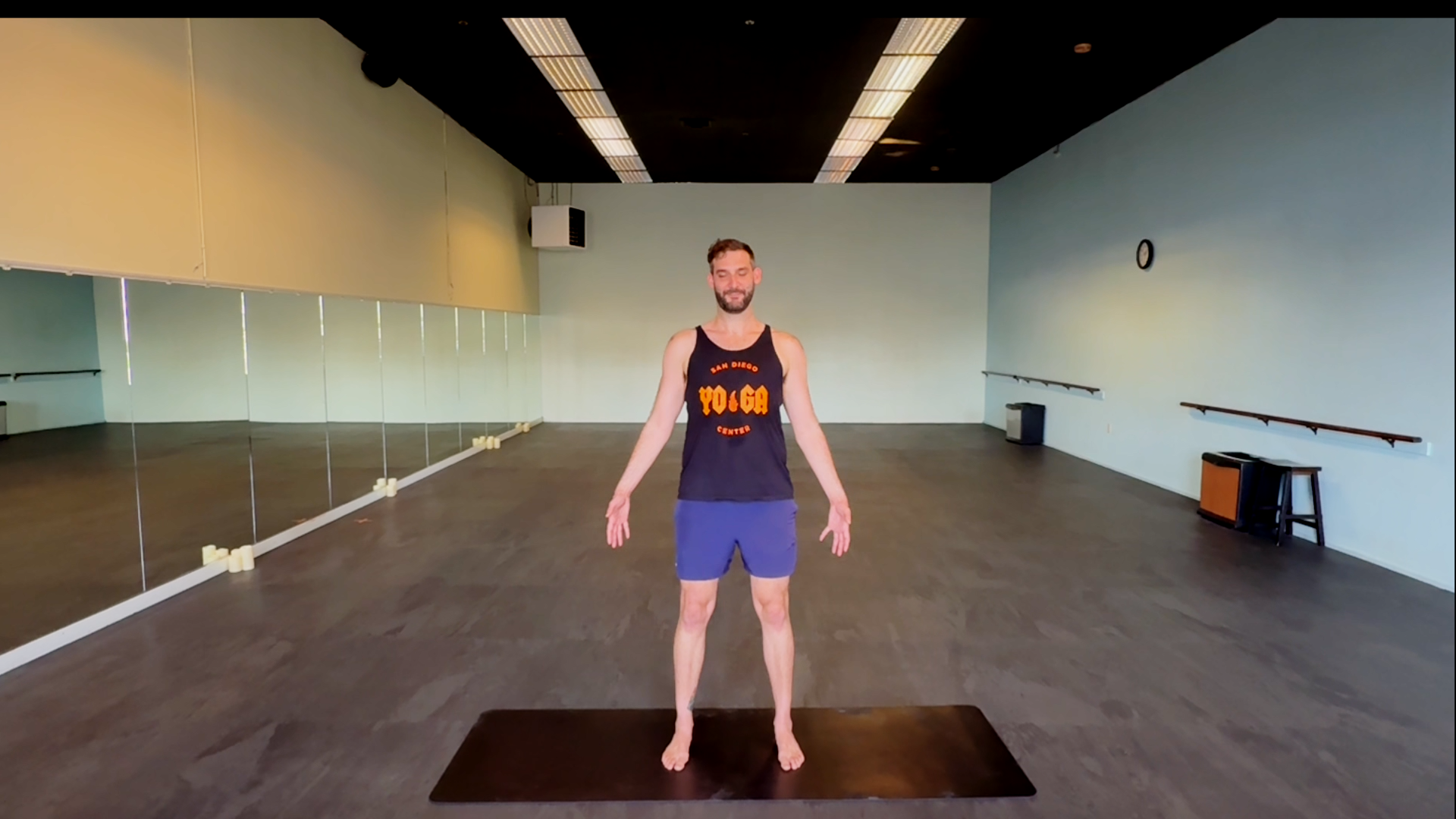 Mountain Pose (Tadasana)
