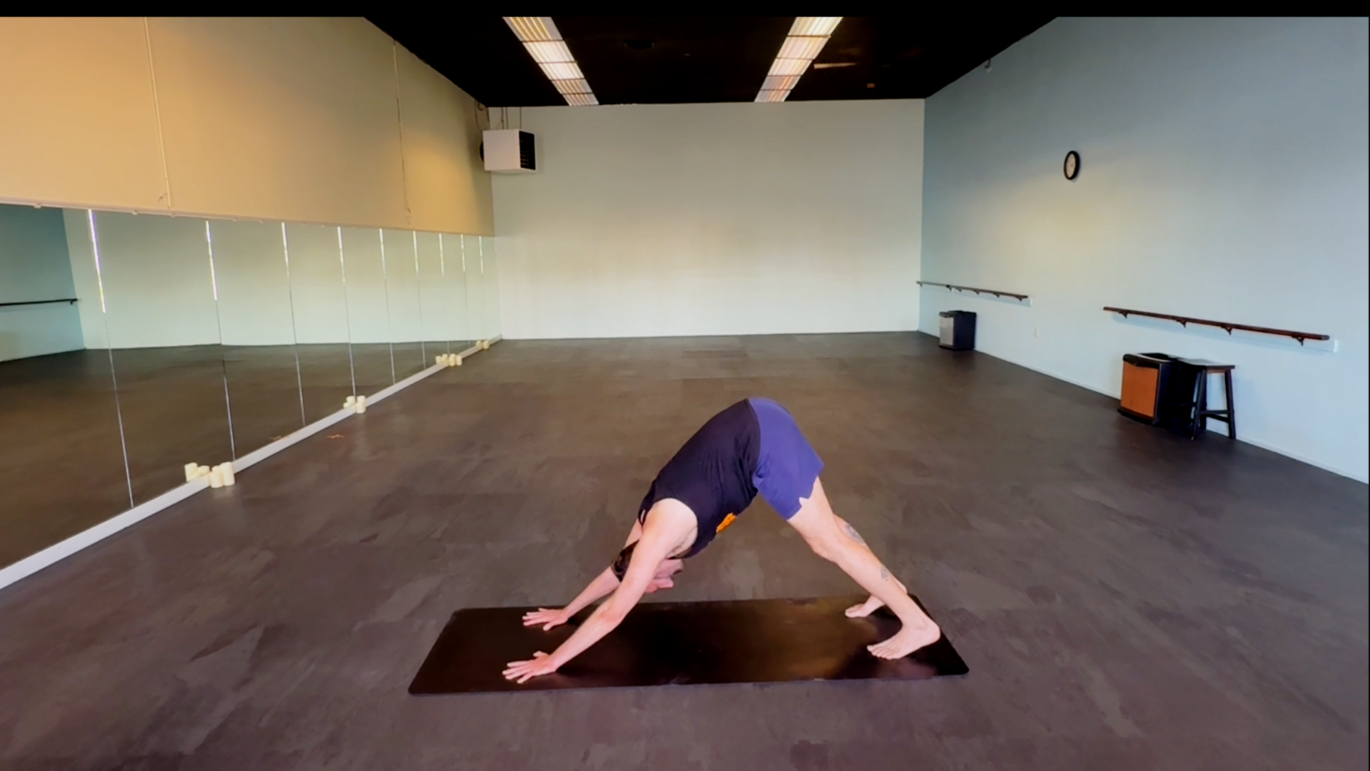 Downward Dog (Adho Mukha Svanasana)