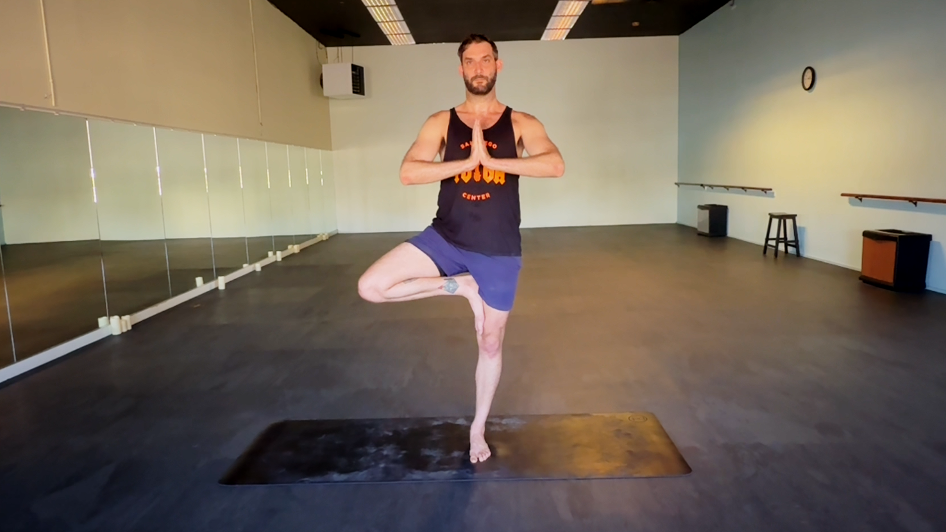 Tree Pose (Vrksasana)