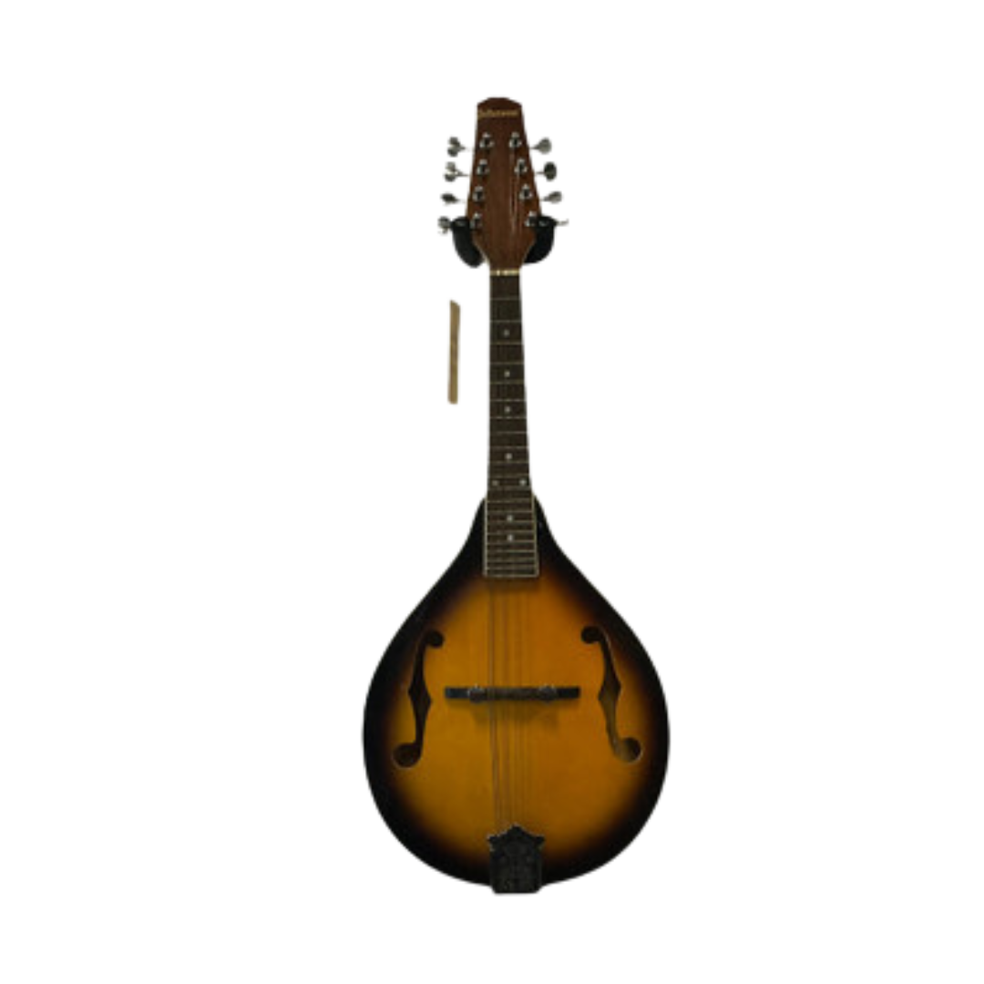 Johnson MA-100 Mandolin.png