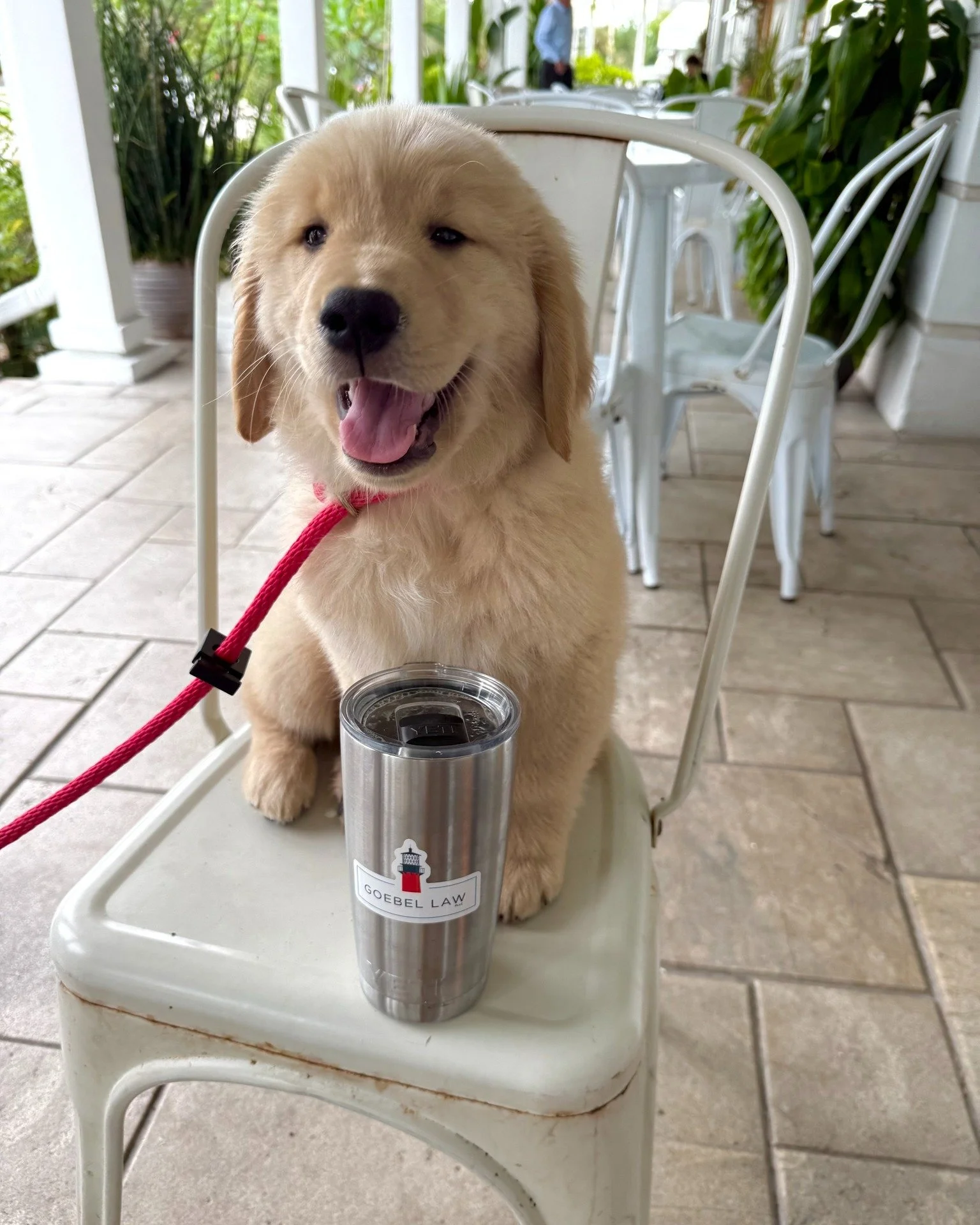 ☕ Estate planning doesn&rsquo;t have to be intimidating or formal. At Goebel Law, we&rsquo;re happy to sit down with you over a cup of coffee @perktequesta  and talk through your goals, questions, and concerns. Let&rsquo;s make planning for the futur