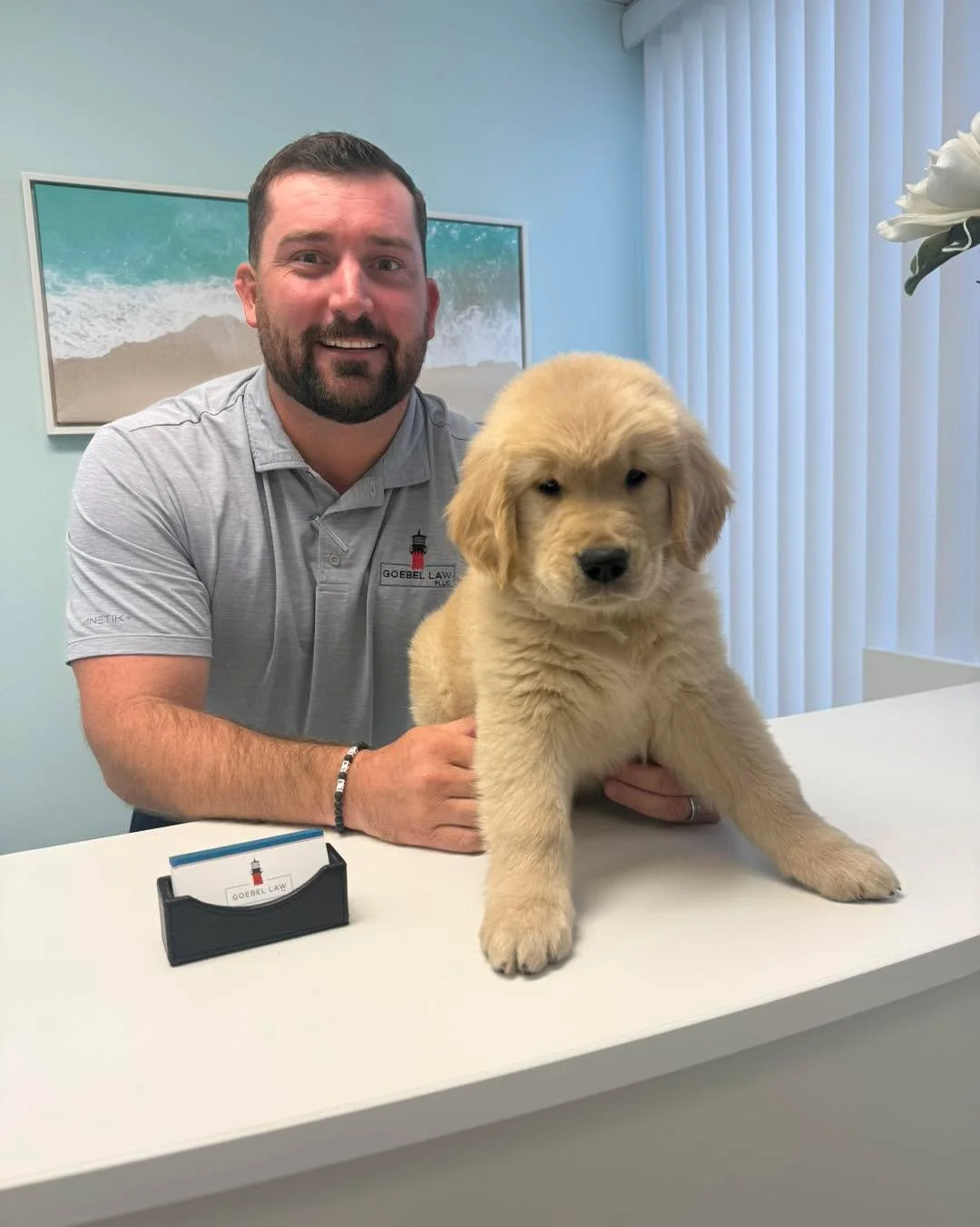 Estate planning doesn&rsquo;t have to be ruff&mdash;let Goebel Law fetch the right plan for you! 🐾