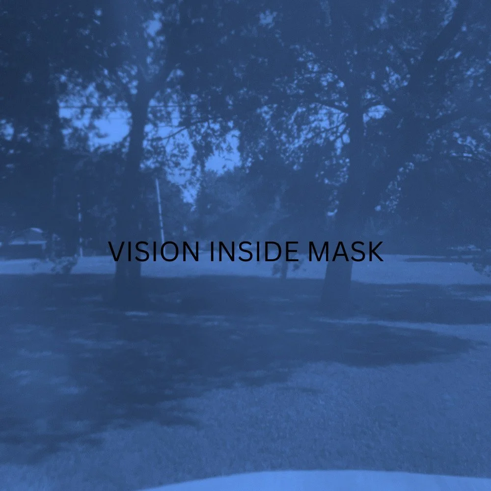 vision inside blue mask.JPG