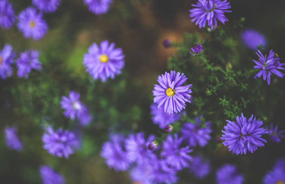 Your Legacy Matters: Lessons from Prince’s Estate