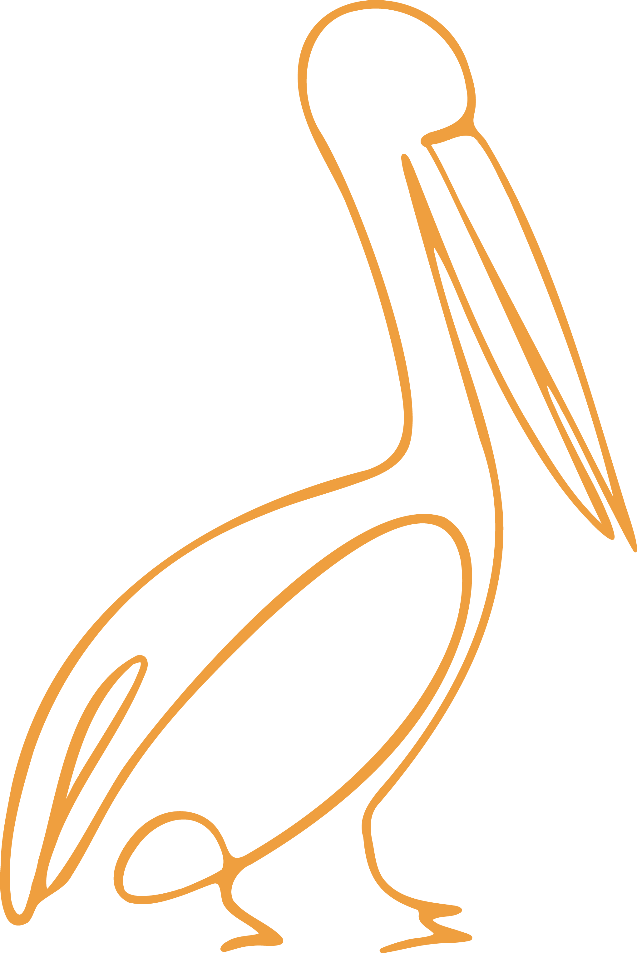 Outline of a pelican bird in orange on a black background.