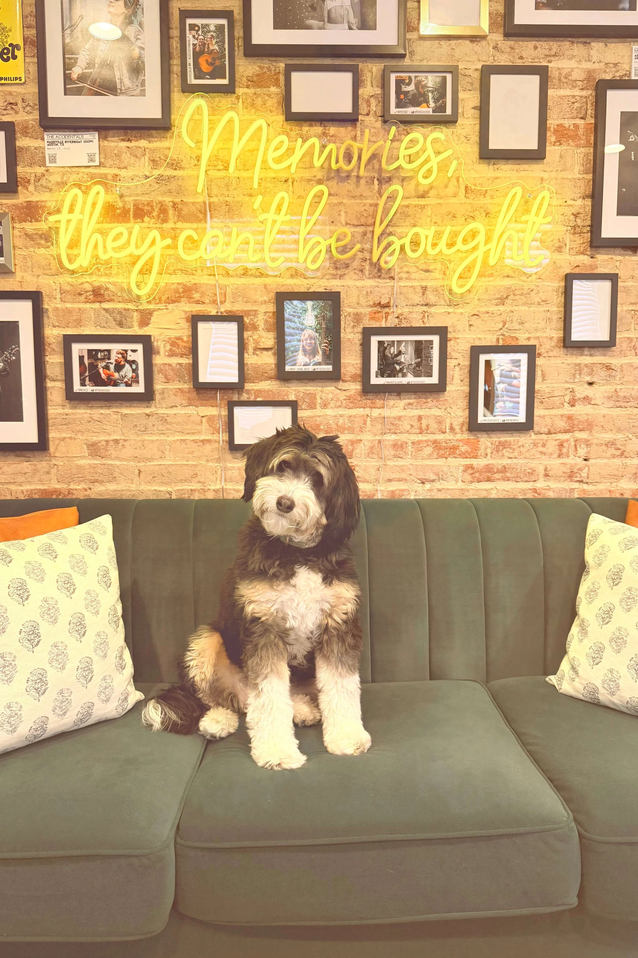 LoCali mascot, Mollie Mae