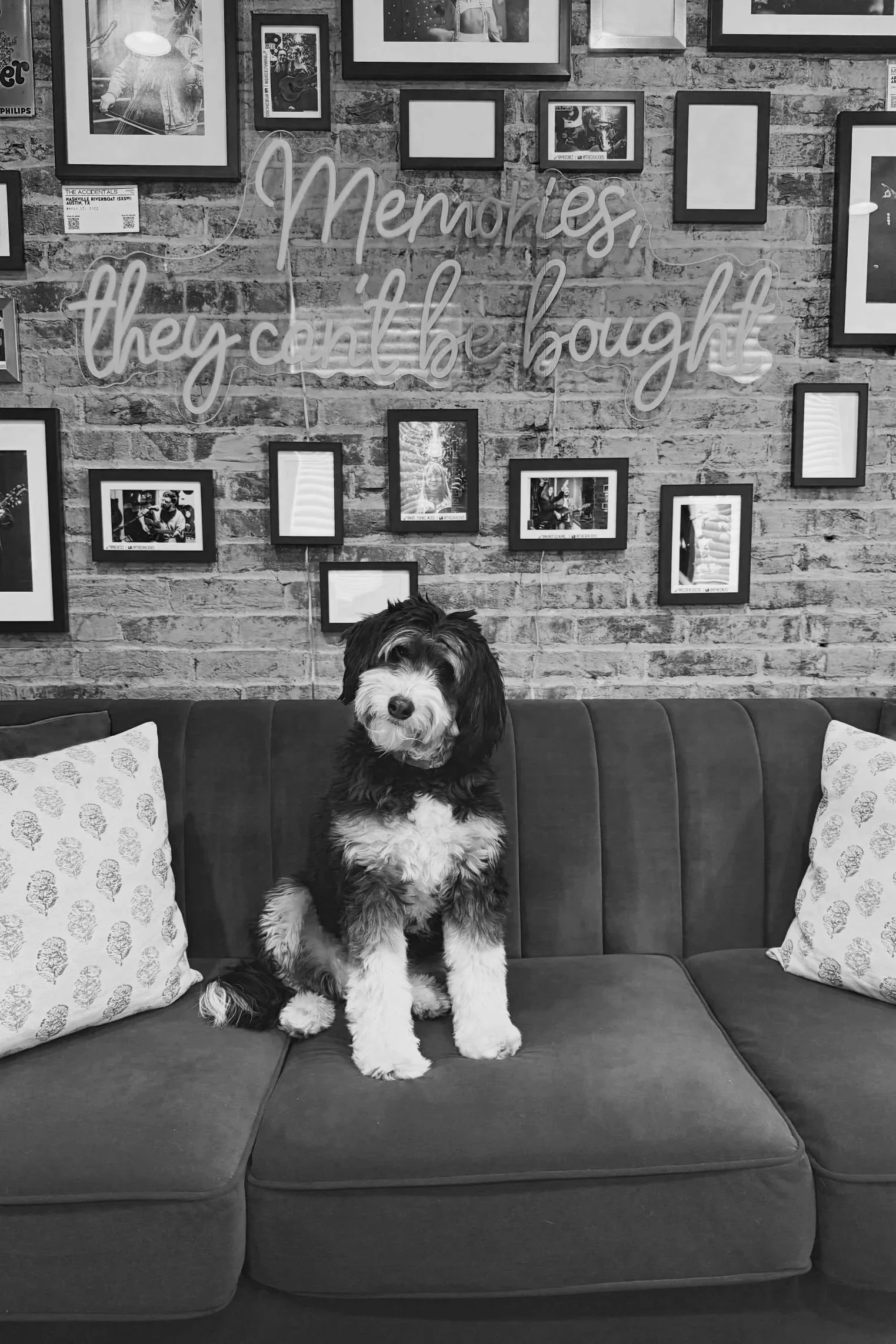 Photo of Mollie Mae at LoCali
