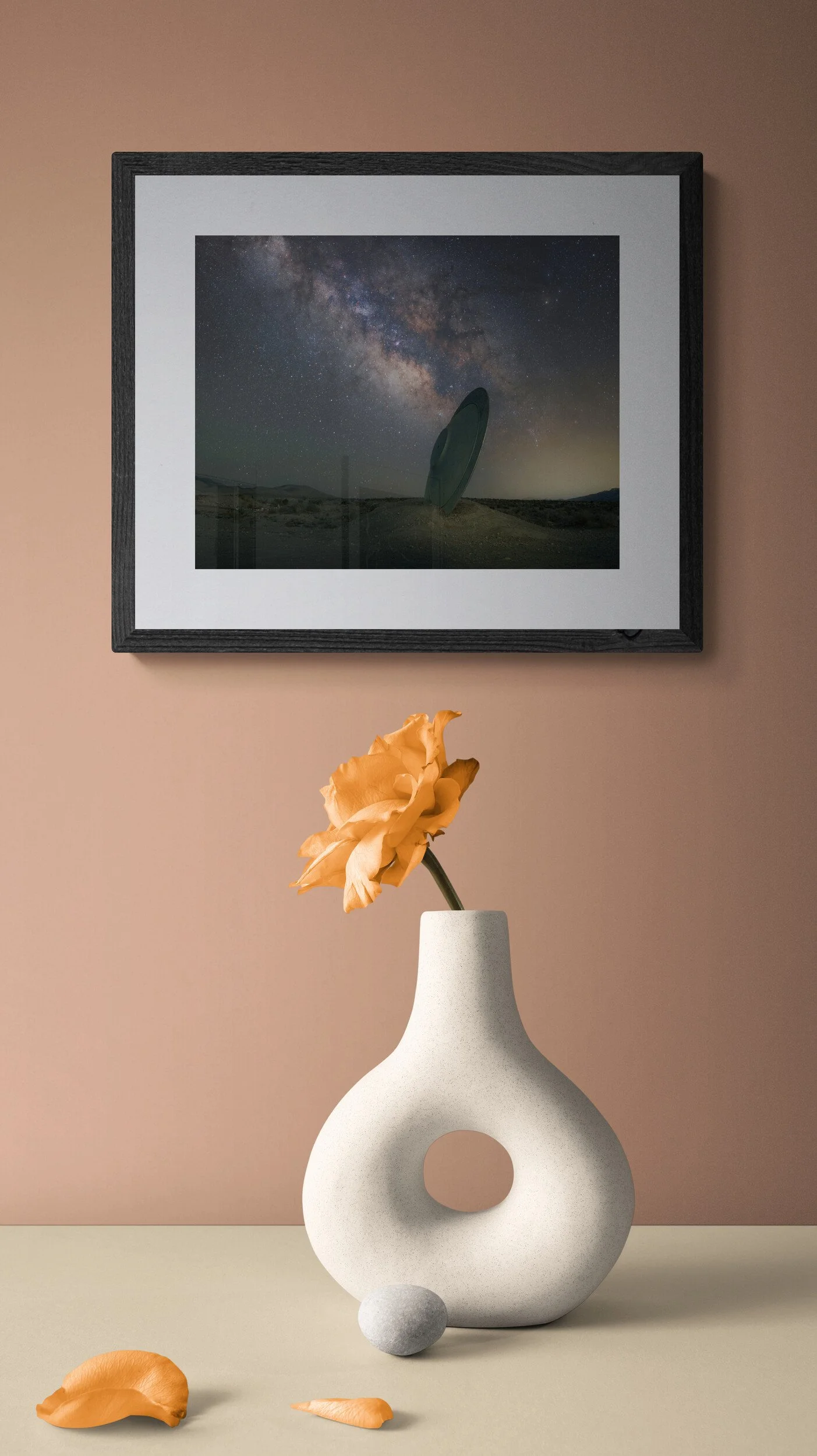 close-up-of-a-colorful-flower-in-a-vase.jpg