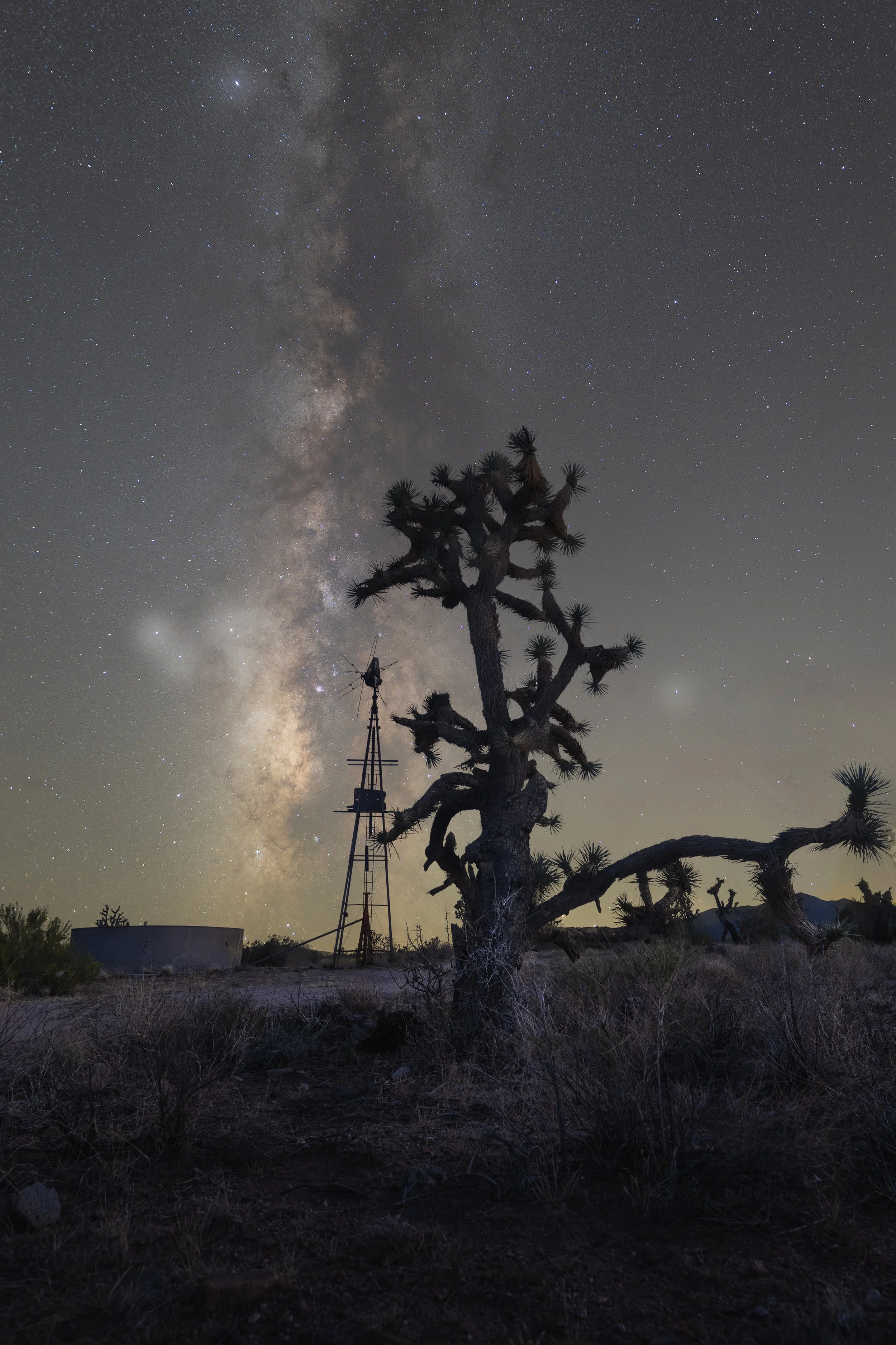 Windmill - Joshua Tree.jpg