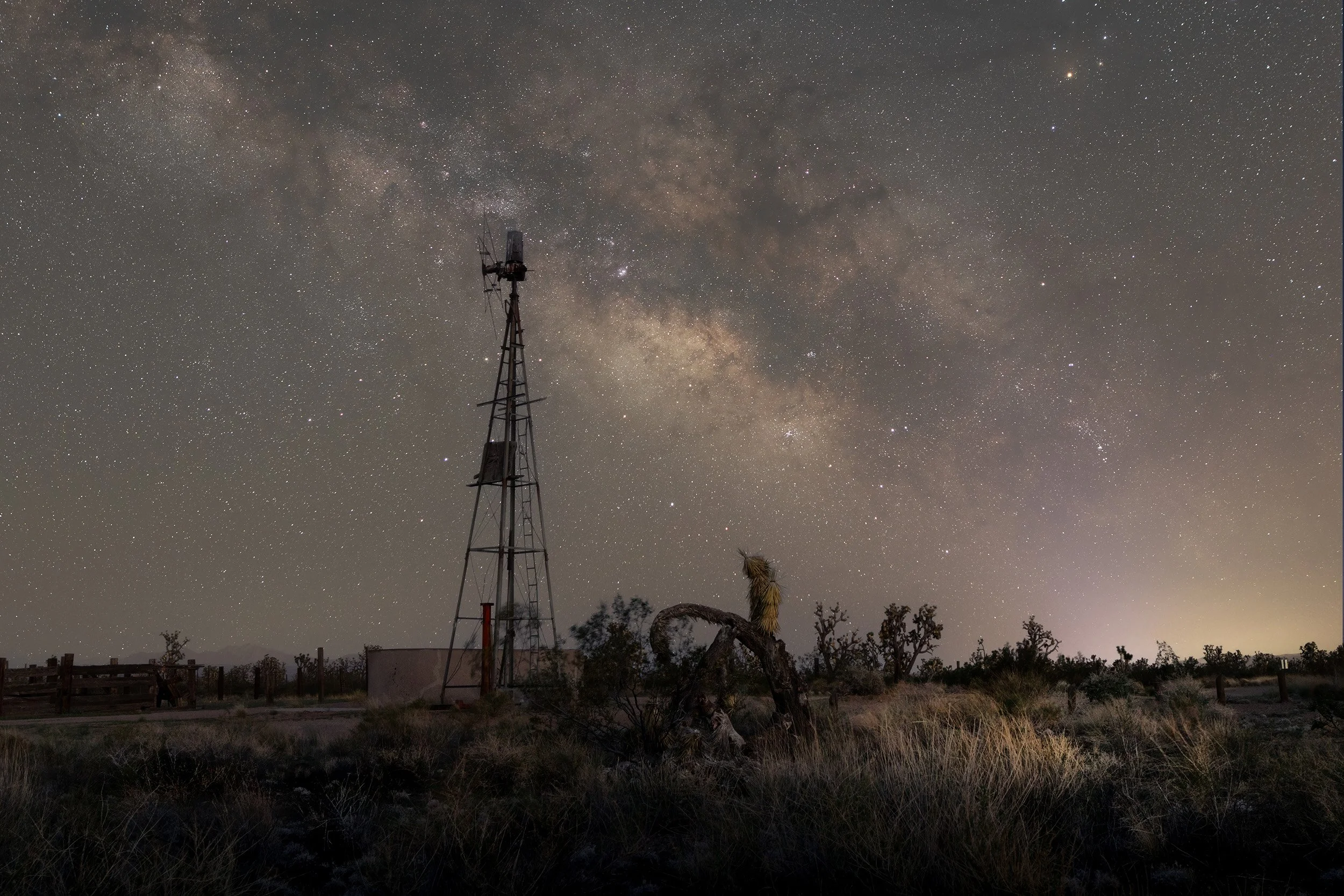 Night sky filled with stars and the Milky Way galaxy, a tall communication tower, and desert vegetation including a twisted tree and cacti.