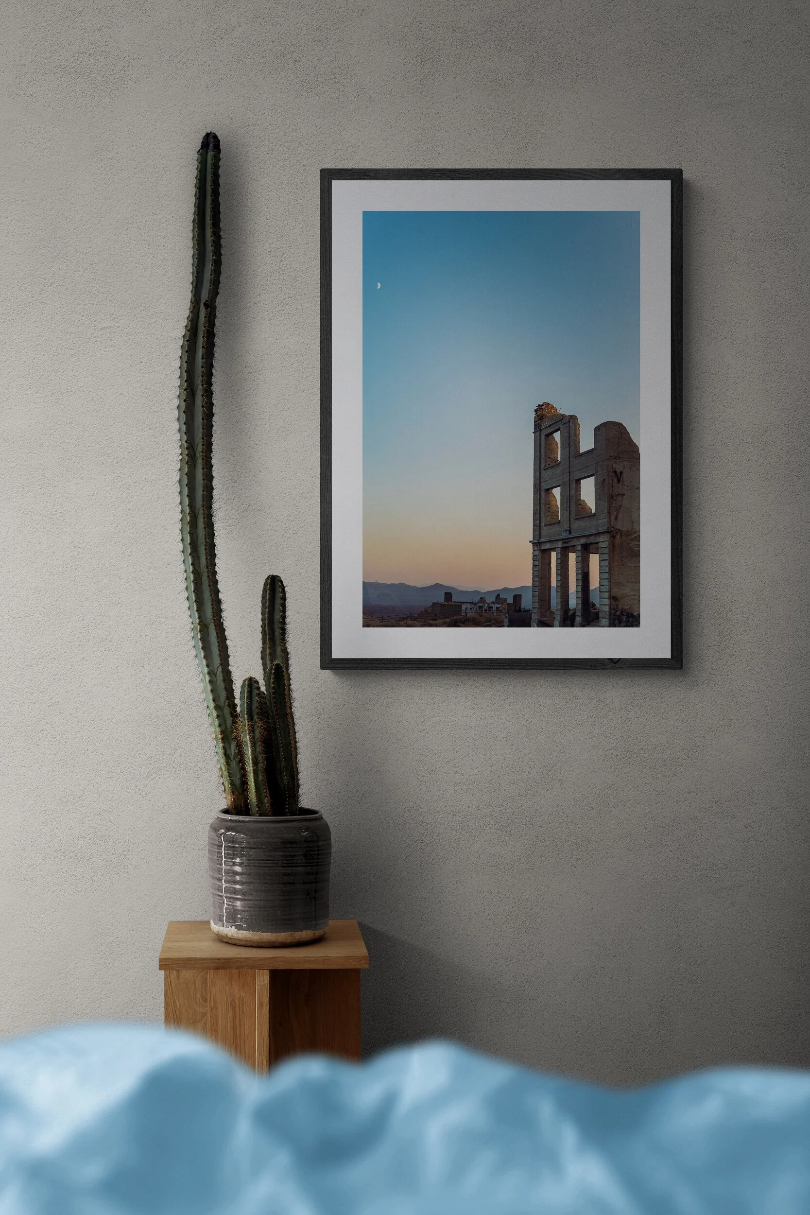 bedroom-with-a-tall-cactus-plant.jpg