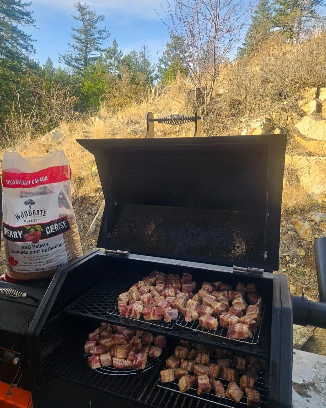 🔥 Pork Belly Burnt Ends on the smoker and they&rsquo;re looking ABSOLUTE 🔥 right now!
Cubed up some beautiful pork belly, hit it with a simple SPG + a little brown sugar rub, and it&rsquo;s bathing in that sweet cherry wood smoke courtesy of @woodg