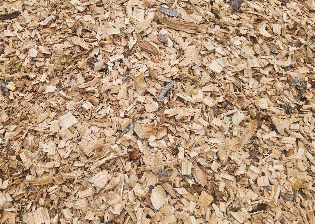 🌳🔥 Fresh from the orchard to your smoker!
Just in: piles of pristine Okanagan fruitwood getting chipped up today at the Woodgate Pellets mill. This is the sweet, aromatic gold that gives our 100% Okanagan Fruitwood BBQ pellets their legendary flavo