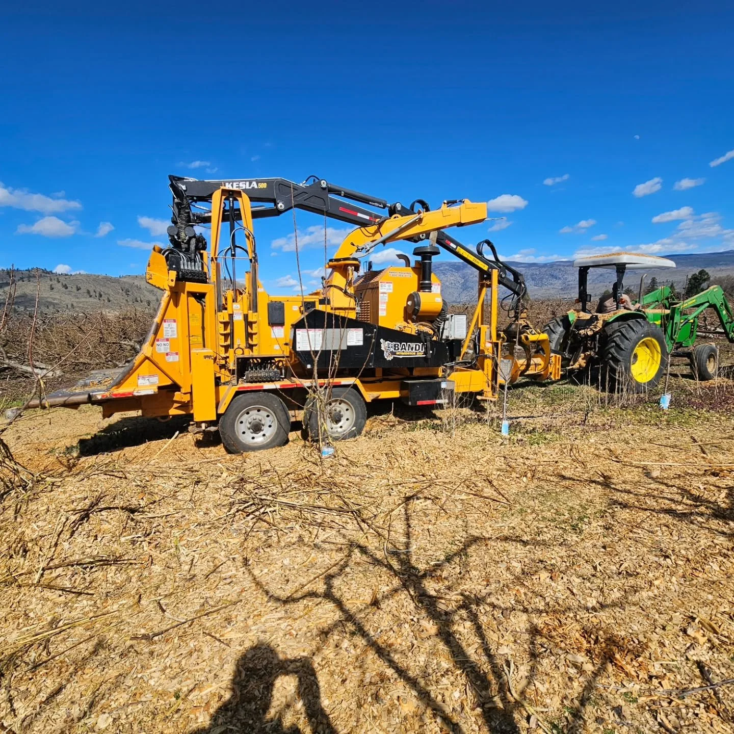 Straight from the orchards of beautiful British Columbia, Canada &mdash; this is how we do it differently.
No mixed waste wood. No mystery blends.
Just pure, single-species fruit tree wood, harvested fresh from local farms and turned into premium pel