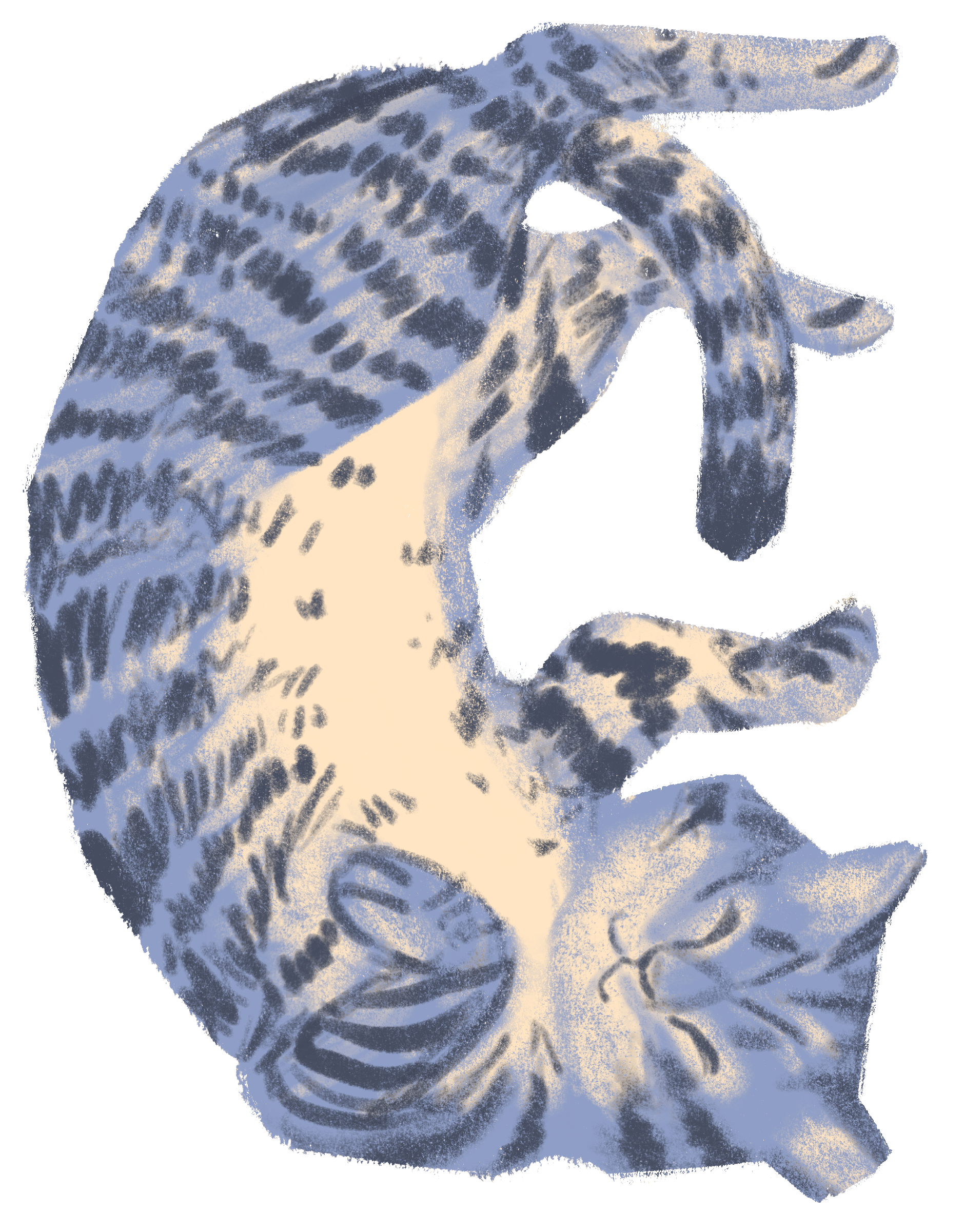 Illustration of a cat on its back with blue and beige coloring, detailed fur patterns, and closed eyes.
