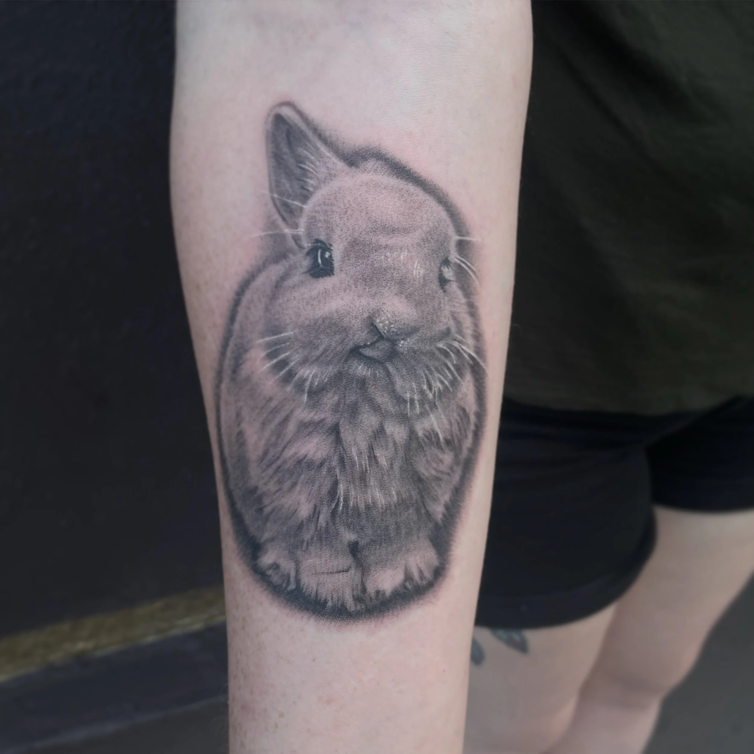 Black and gray realistic tattoo of a rabbit on a person's arm.