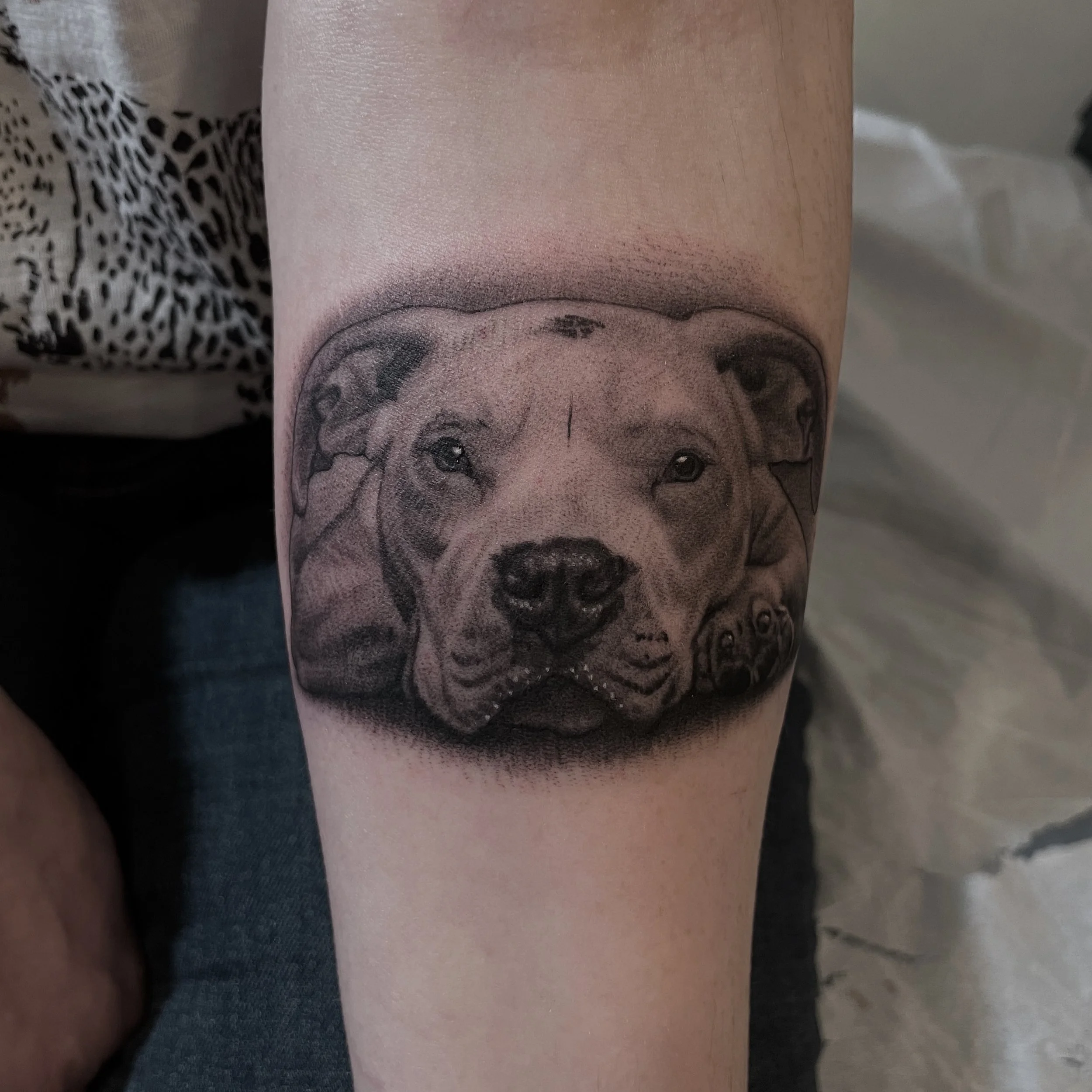 Black and gray tattoo of a dog's face on a person's forearm.