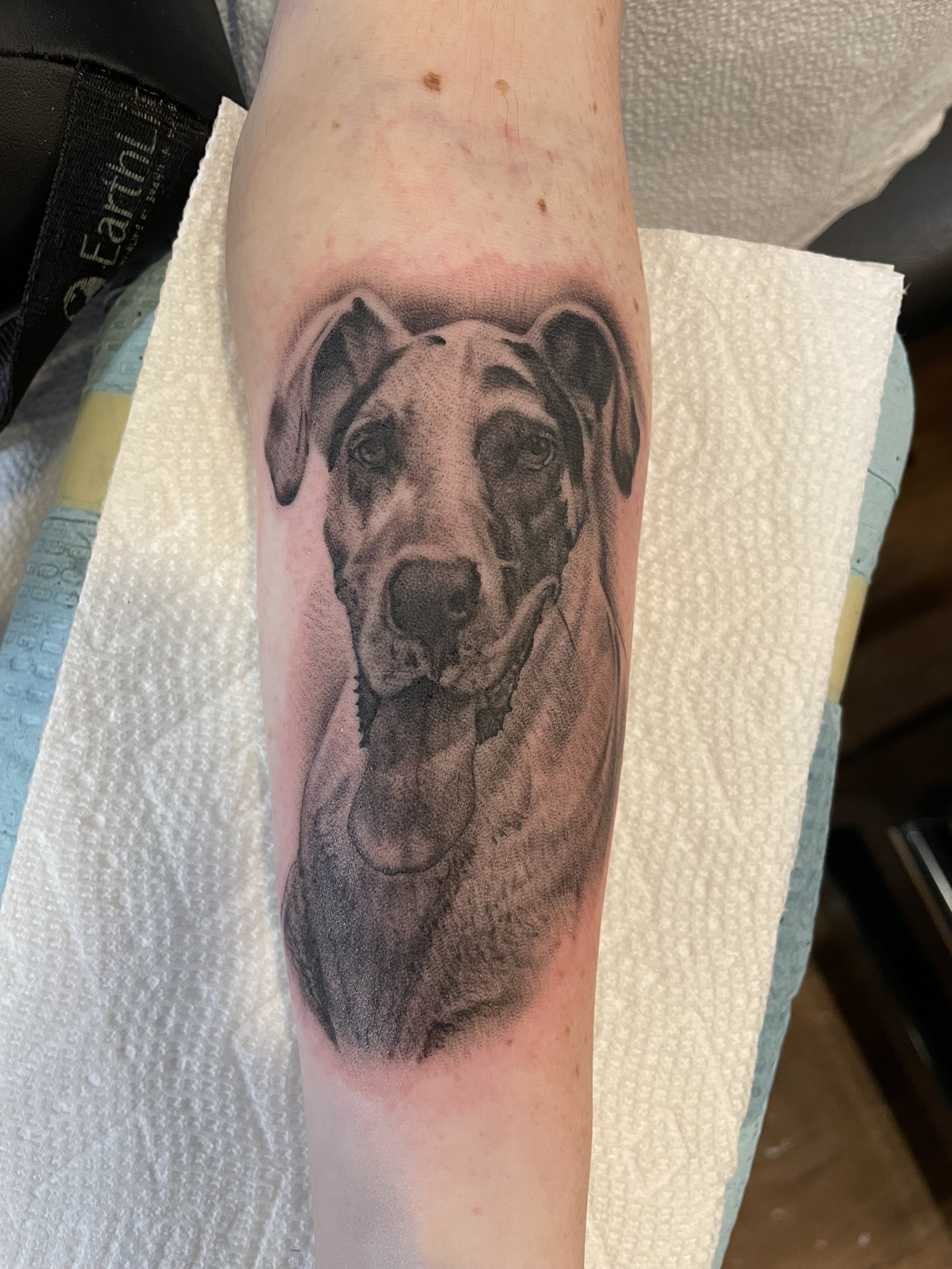 Black and gray tattoo of a dog's face, likely a labrador or similar breed, inked on a person's forearm.