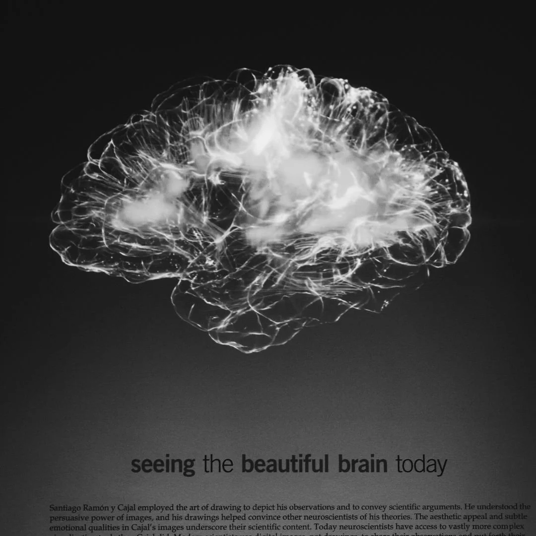 Why Memory Matters: Protecting Your Brain At Any Age