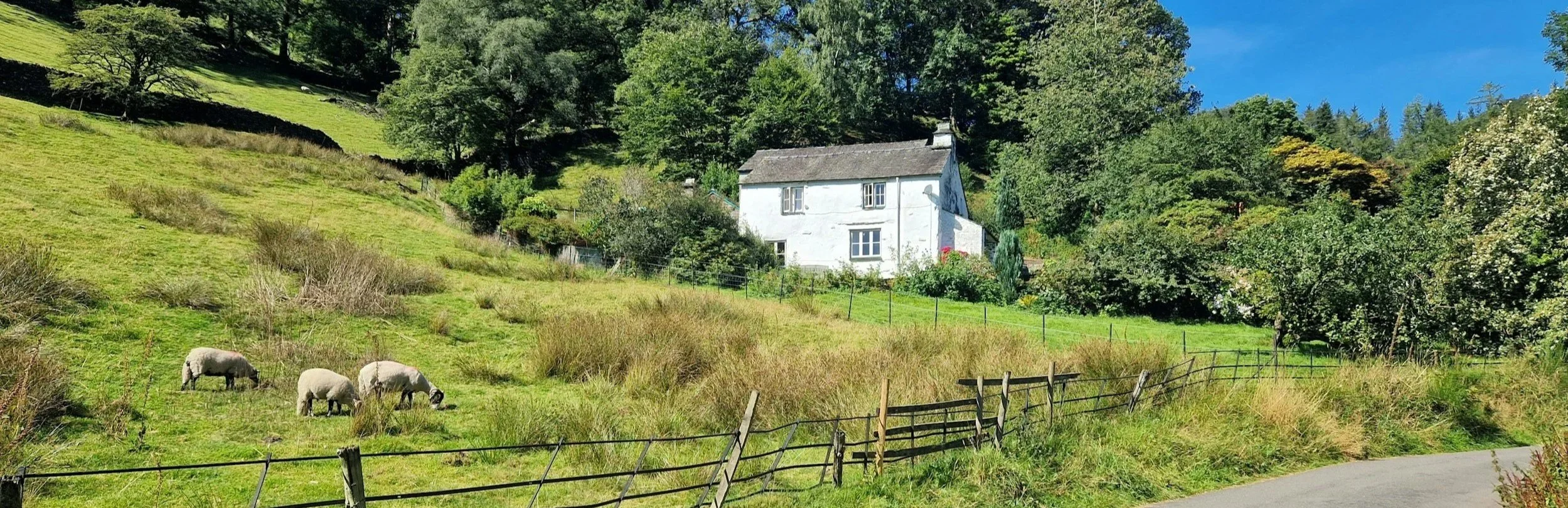 A rural scene with a white house on a hillside, surrounded by green trees and grass. Sheep graze in the foreground near a fence, with a clear blue sky overhead.