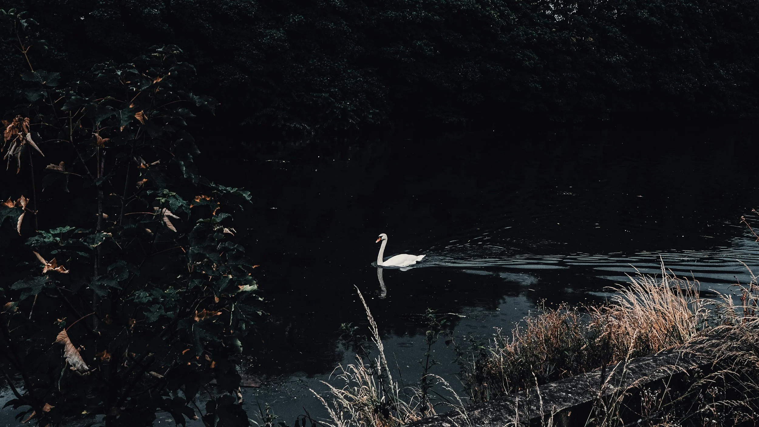 unsplash-image-6uX6rBzyFUw.jpg