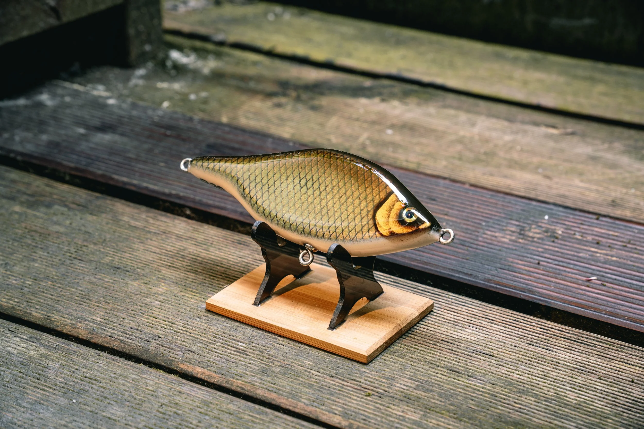 Classic Roach - Bream