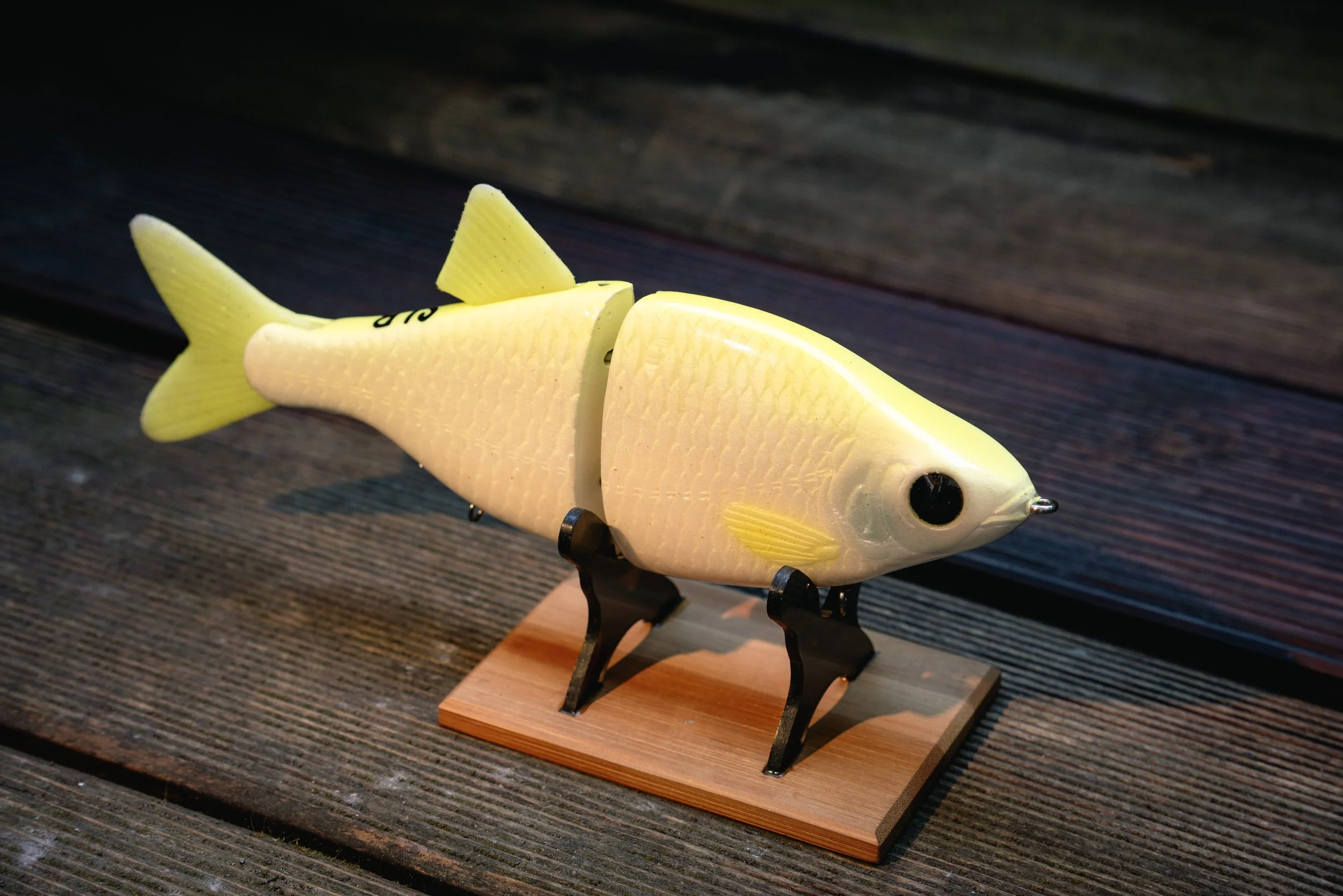 Royal Roach - White Shiner