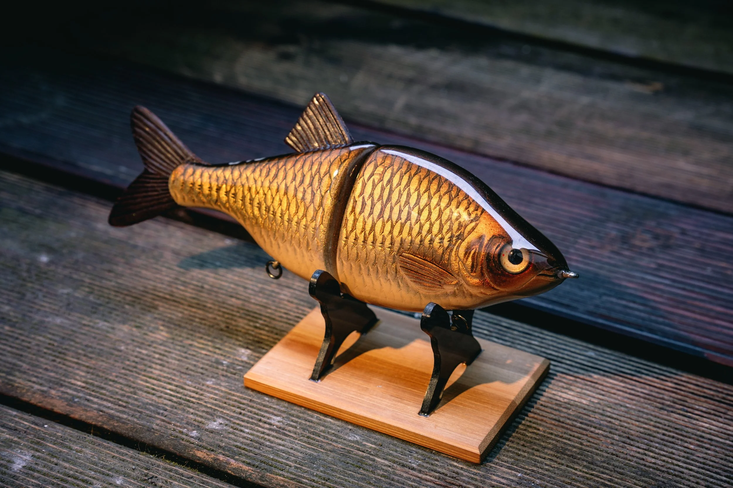 Royal Roach - Golden Rudd