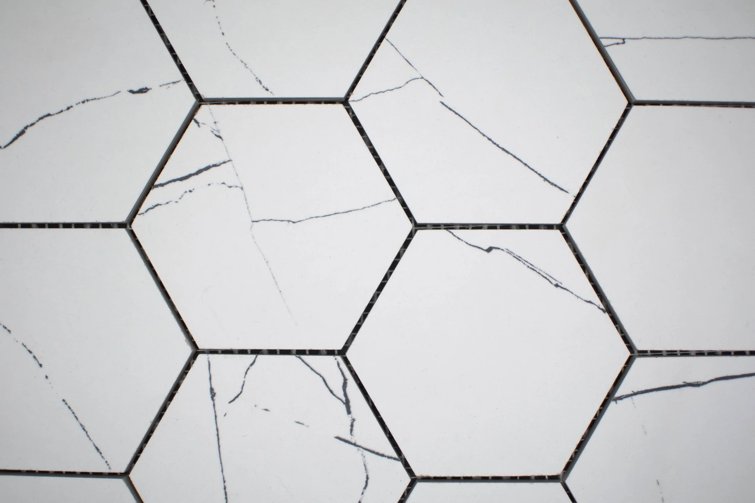Hexagonal Muse Reverse-3.jpg
