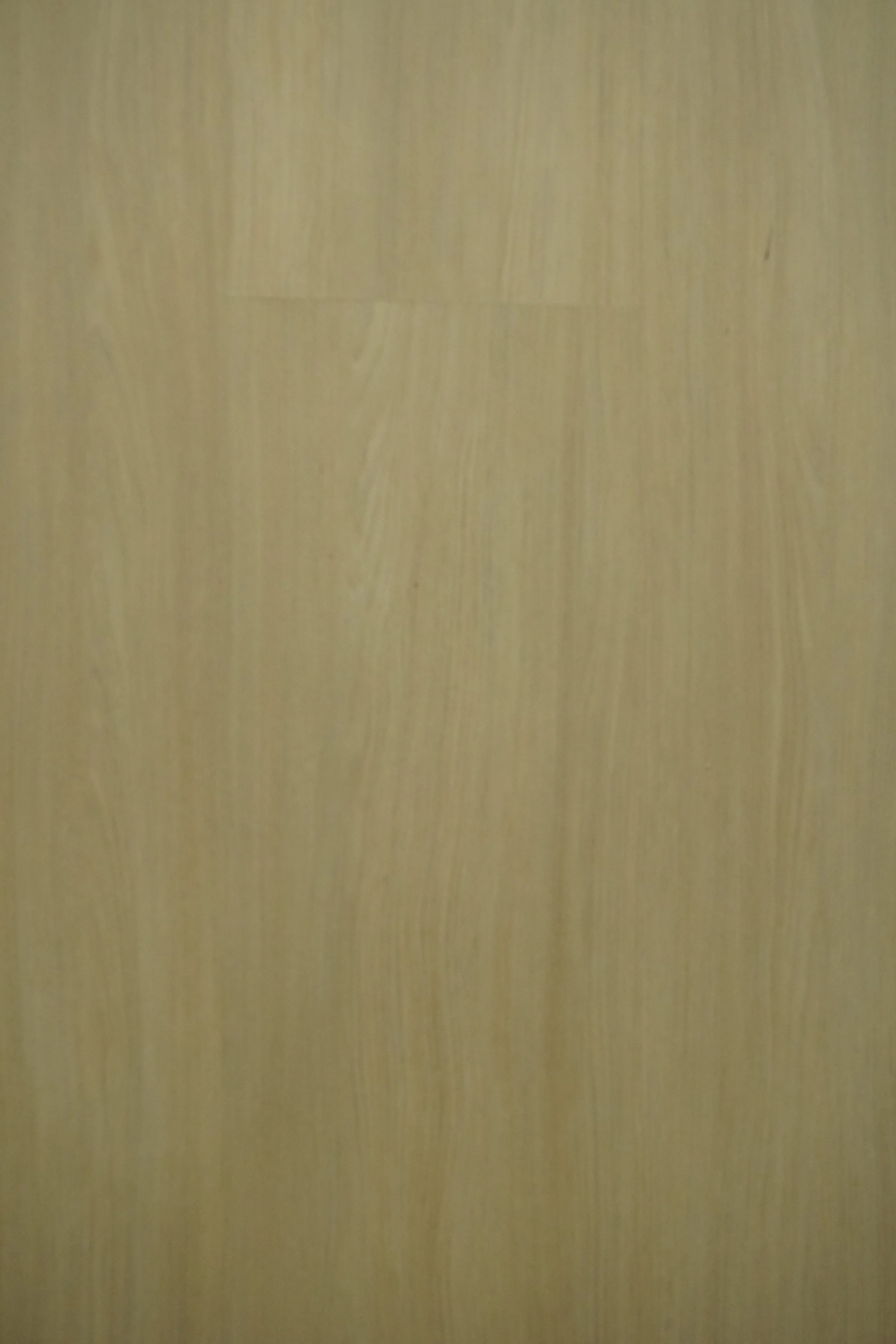 DSC01083.JPG