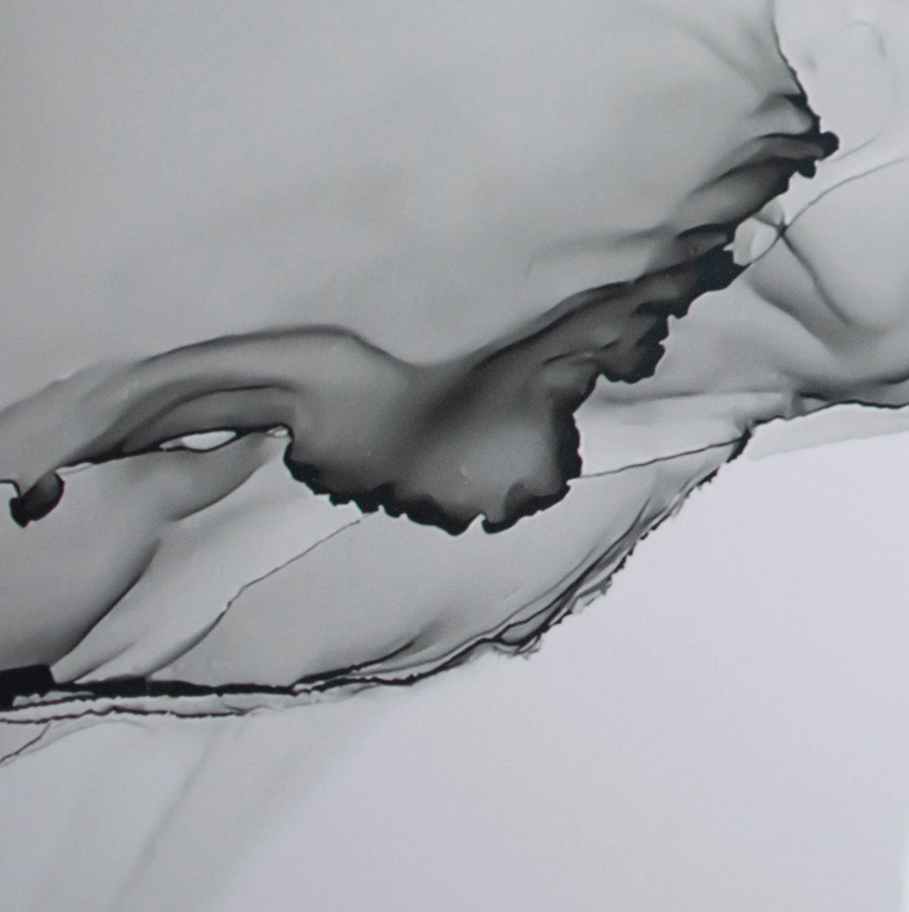 Polaris White 24x48-1.jpg