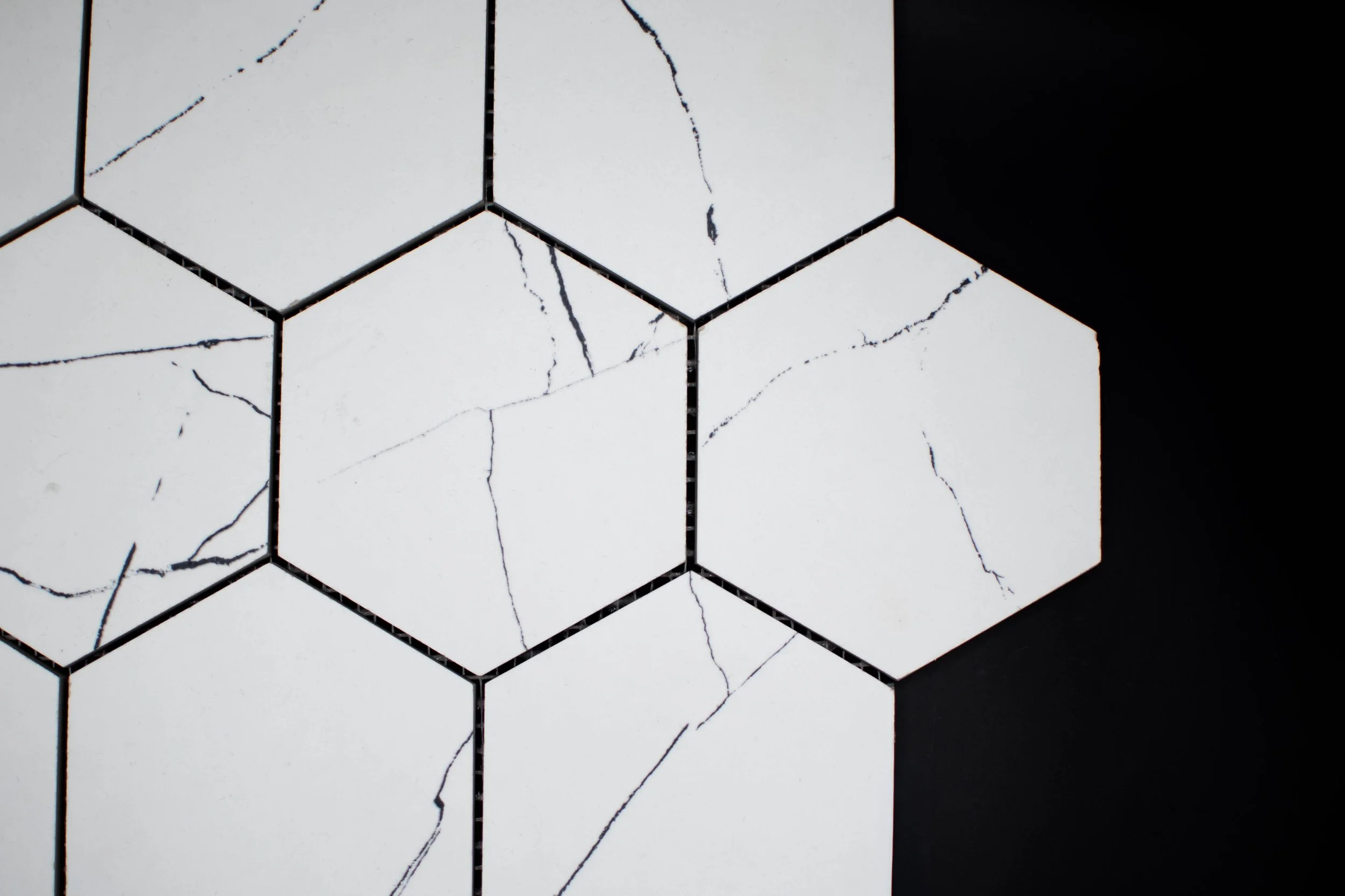 Hexagonal Muse Reverse-5.jpg