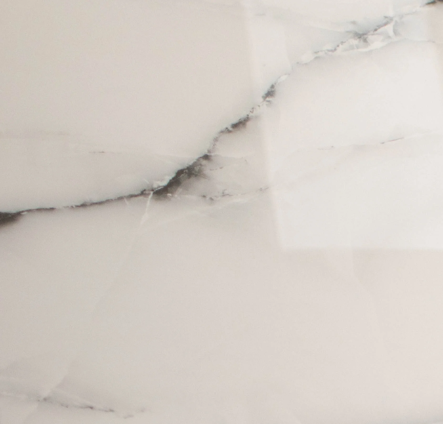 Aral White 24x48-1.jpg