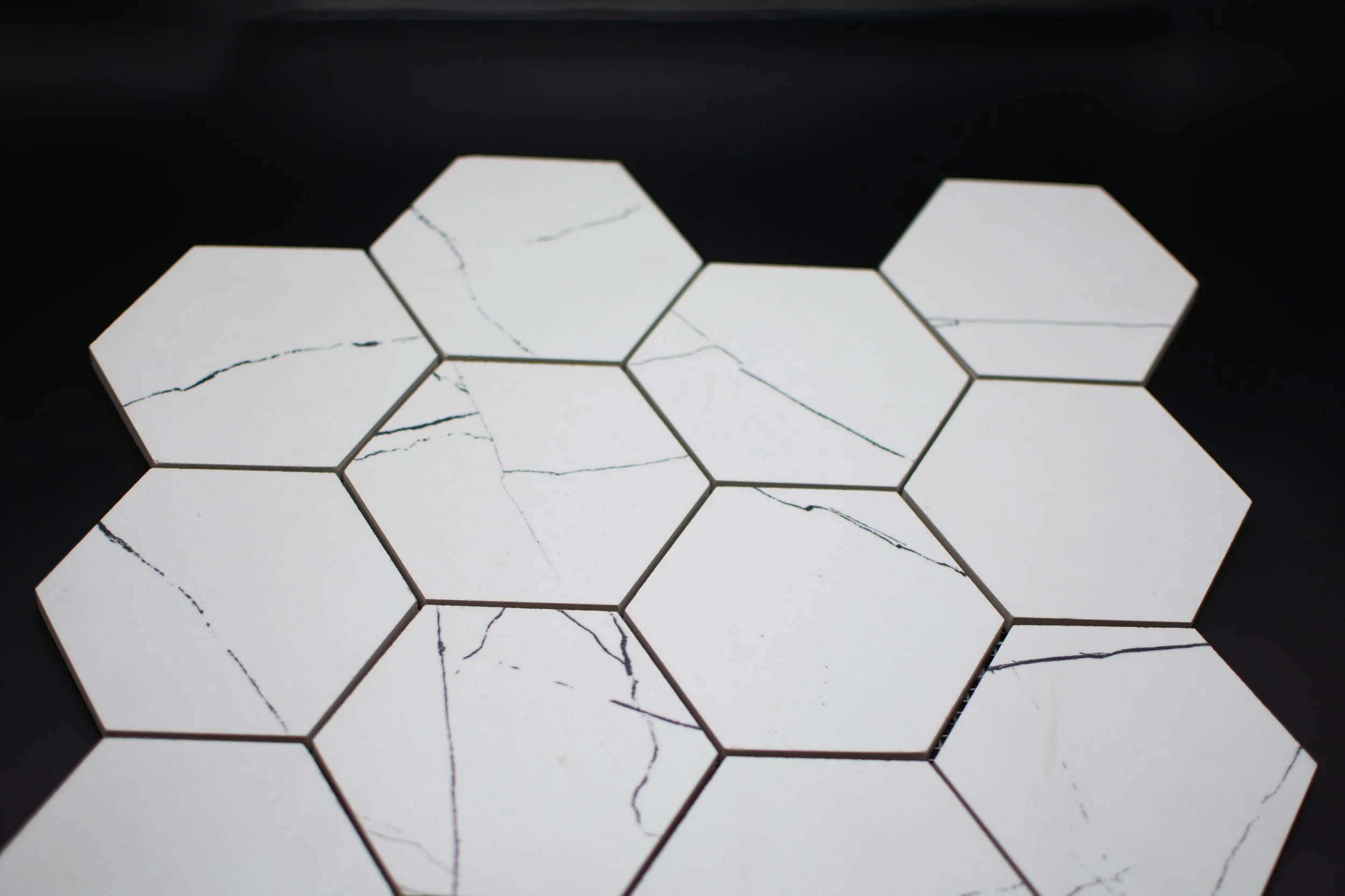 Hexagonal Muse Reverse-1.jpg