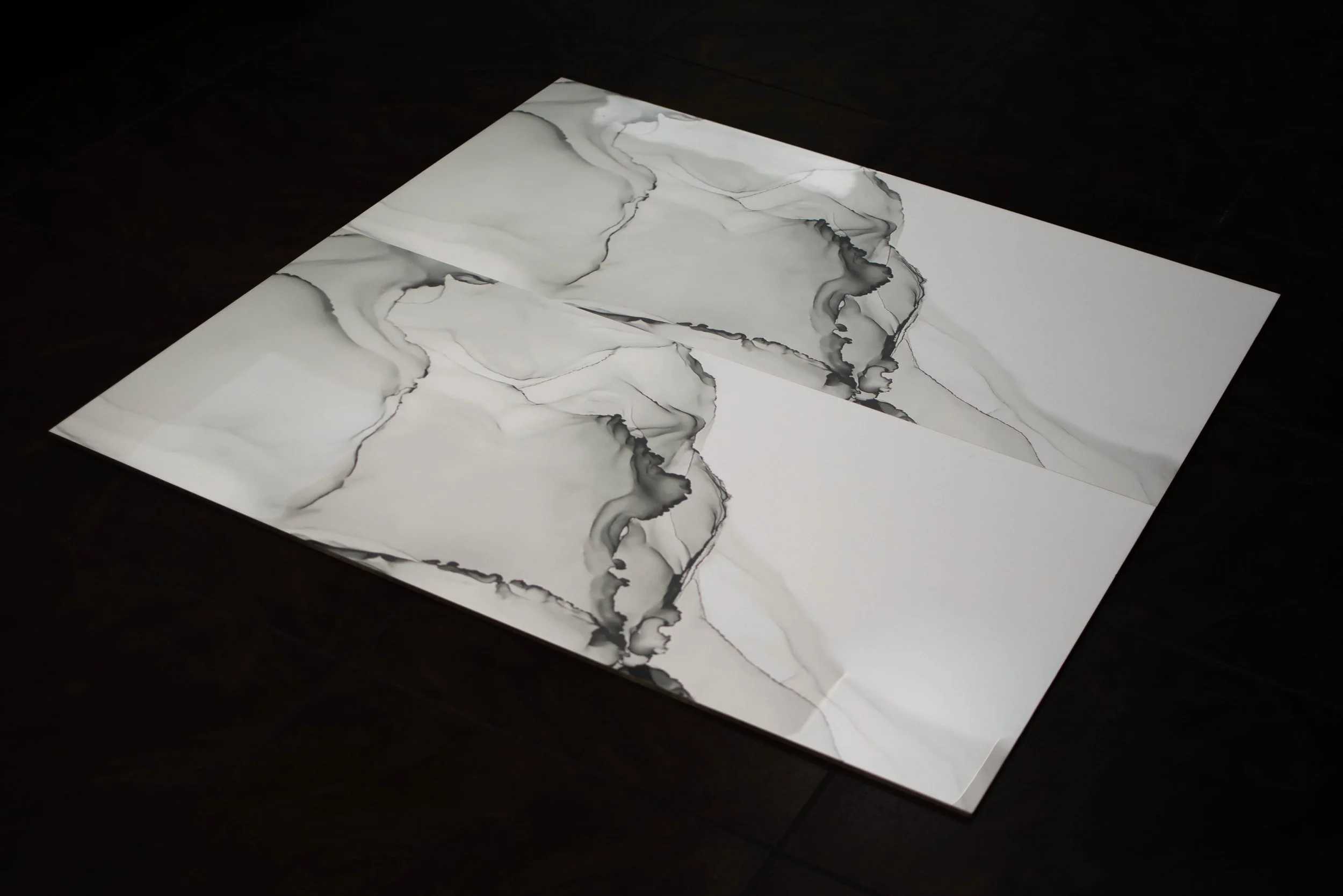 Polaris White 24x48-4.jpg