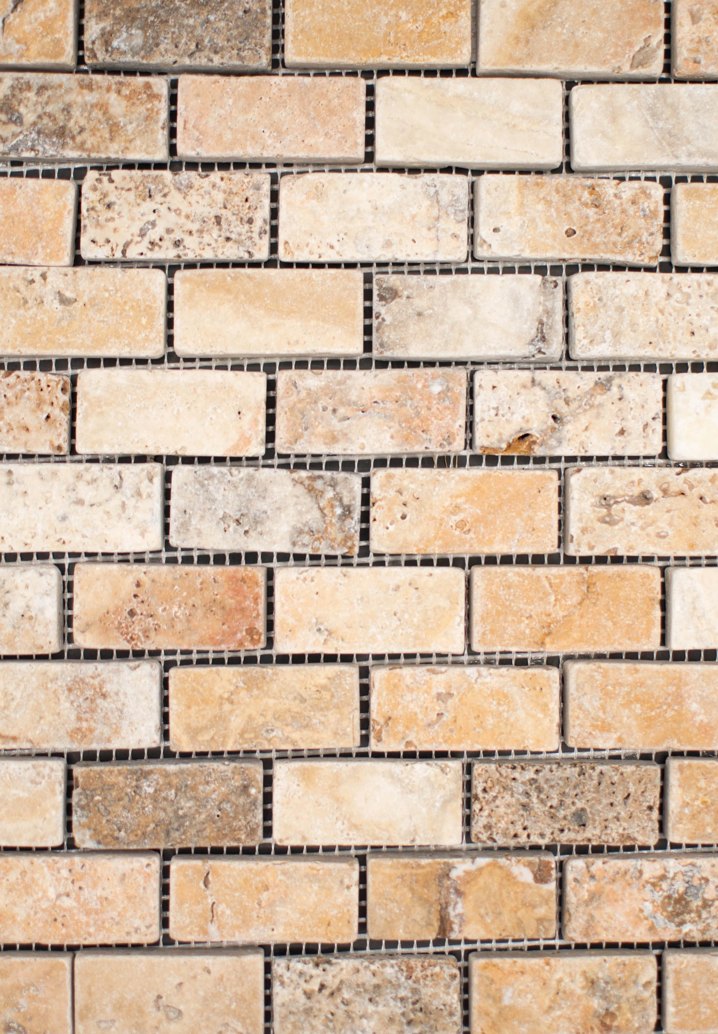 New Series Scabos Travertine 1x2-3.jpg