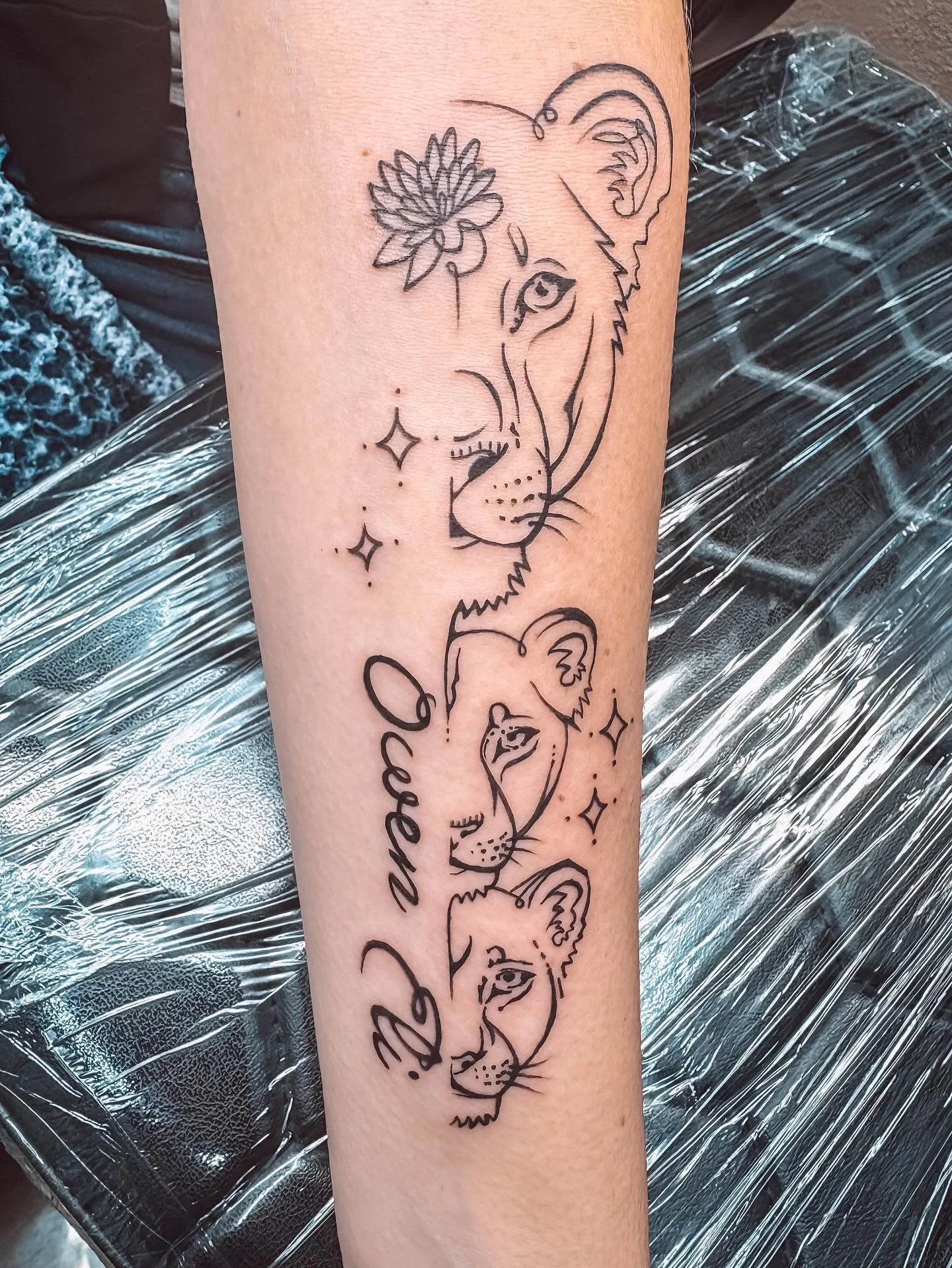 Such a fun and special custom lion tattoo today.

I seriously love hearing your stories and getting to know you all. And for those of you that have been trusting me with your first tattoo lately, I am so incredibly grateful and honored to be a part o