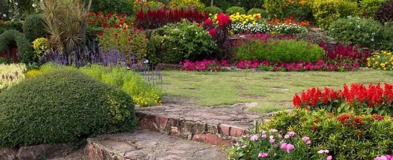 Venta de plantas ornamentales